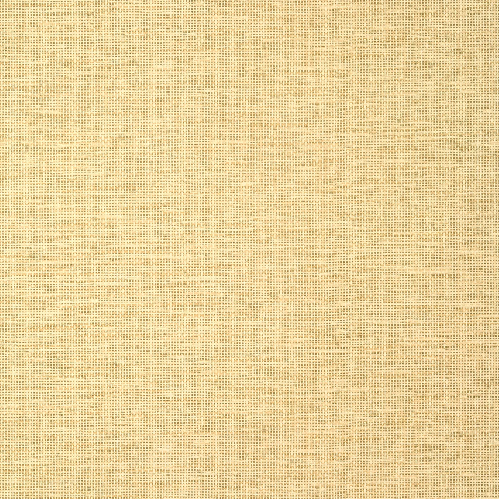 SPIRO WIDE WIDTH - Straw. Фото 1 из 1