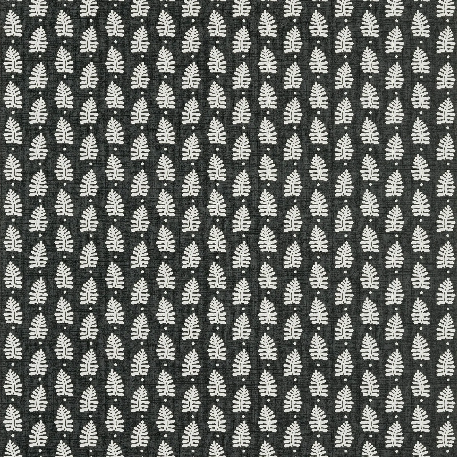 FERNDALE - Black T10657