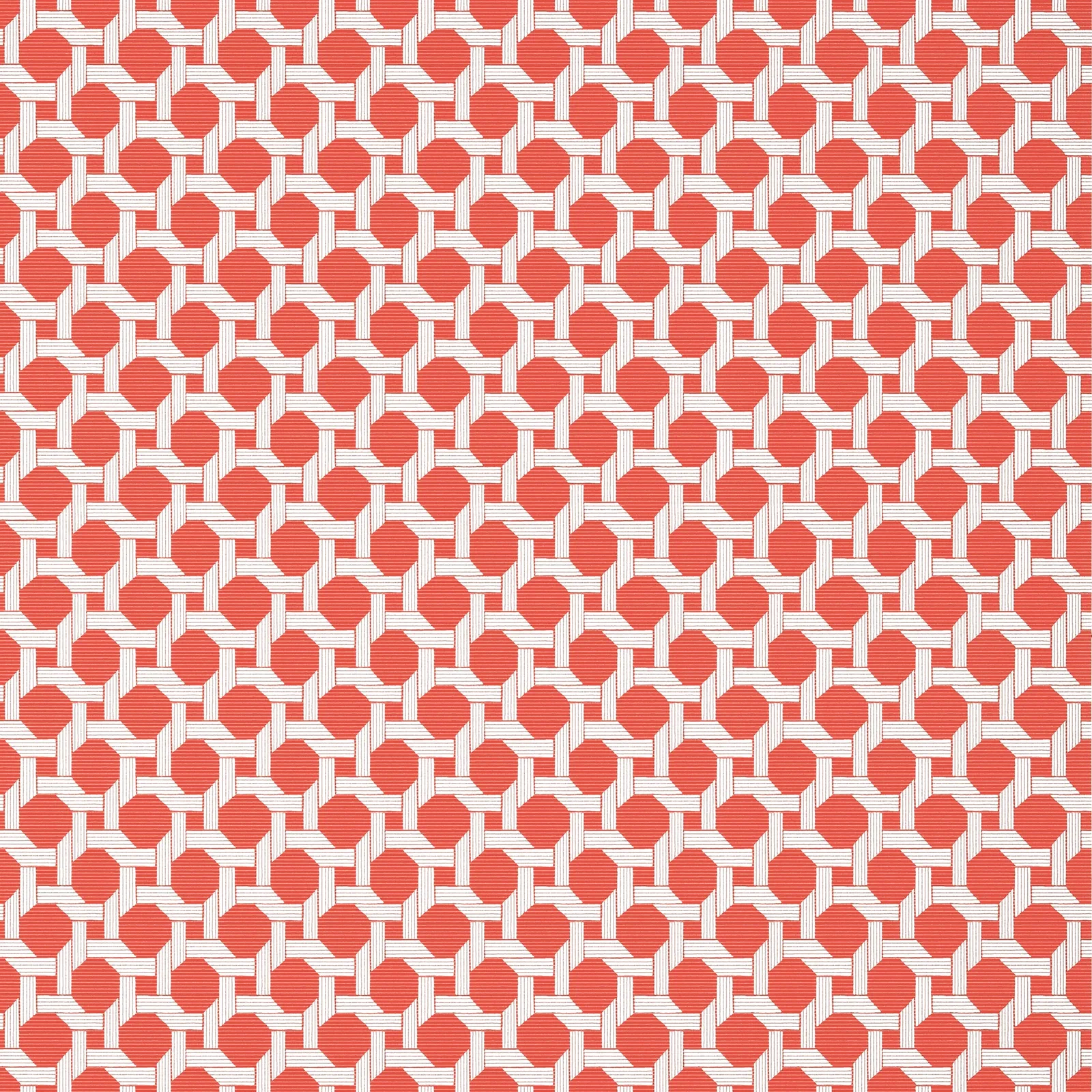 CHARTER - Coral. Фото 1 из 1