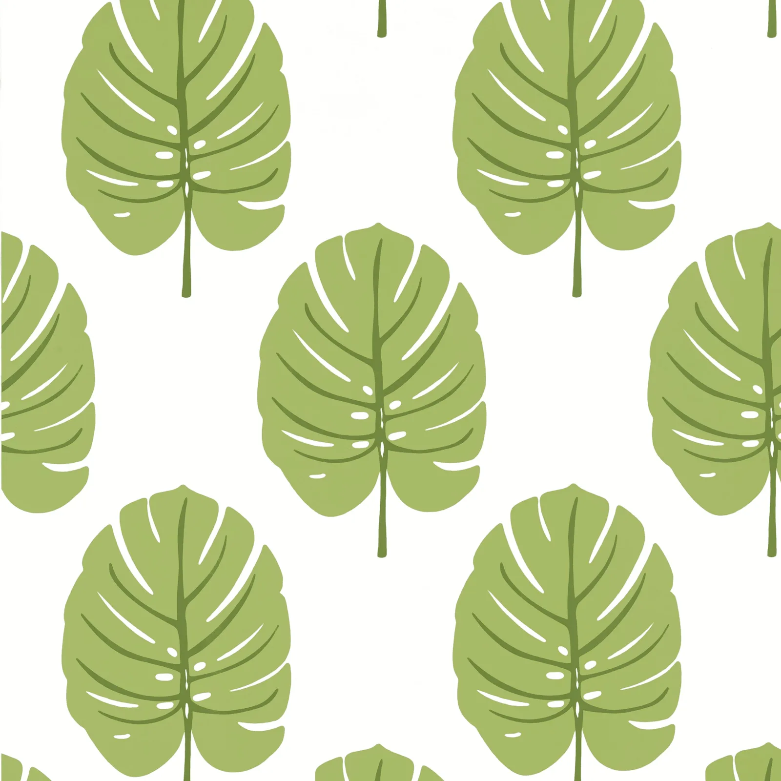 MONSTERA - Apple Green T13955