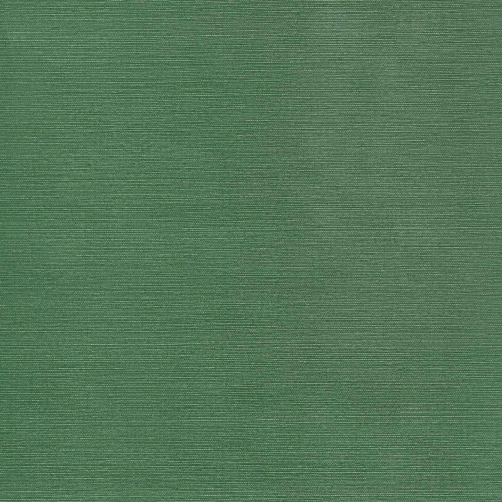 TALUK SISAL - Forest Green. Фото 1 из 1