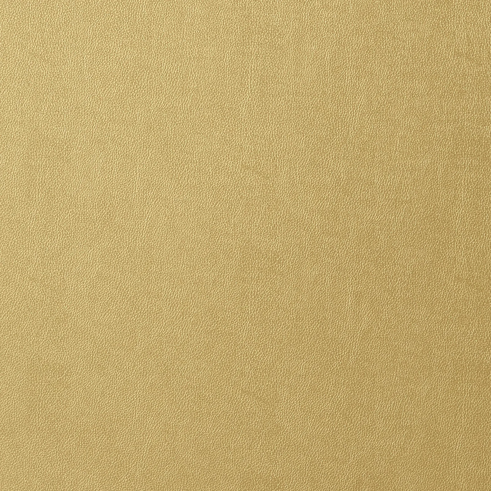 WESTERN LEATHER - Metallic Gold T57161