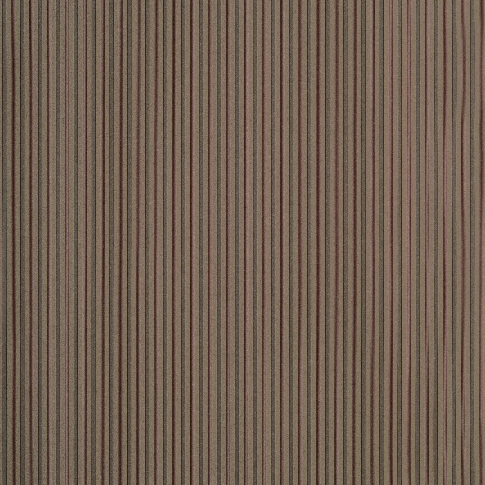 CONNER STRIPE - Brown. Фото 1 из 1