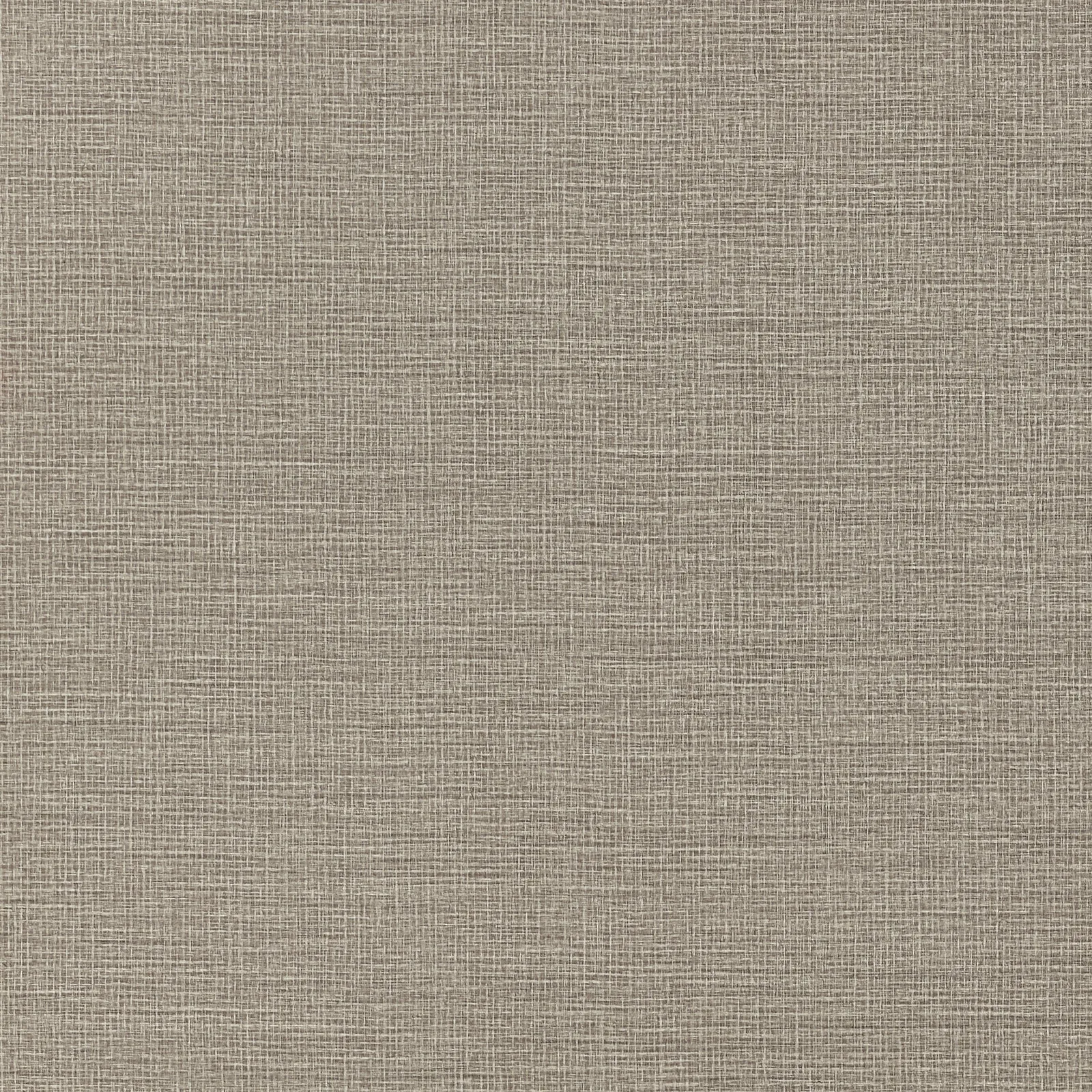 COPENHAGEN - Taupe. Фото 1 из 1