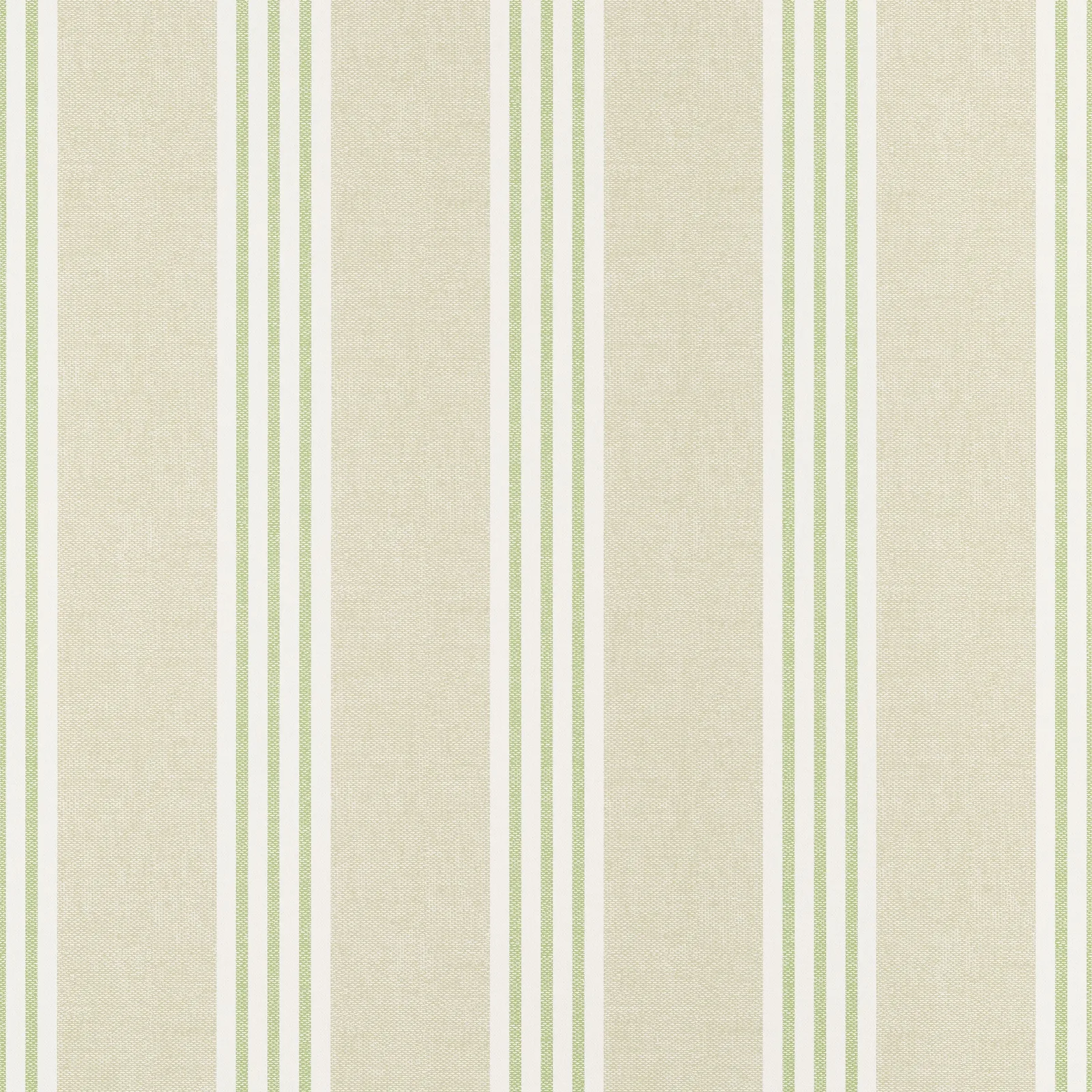 CANVAS STRIPE - Green. Фото 1 из 1
