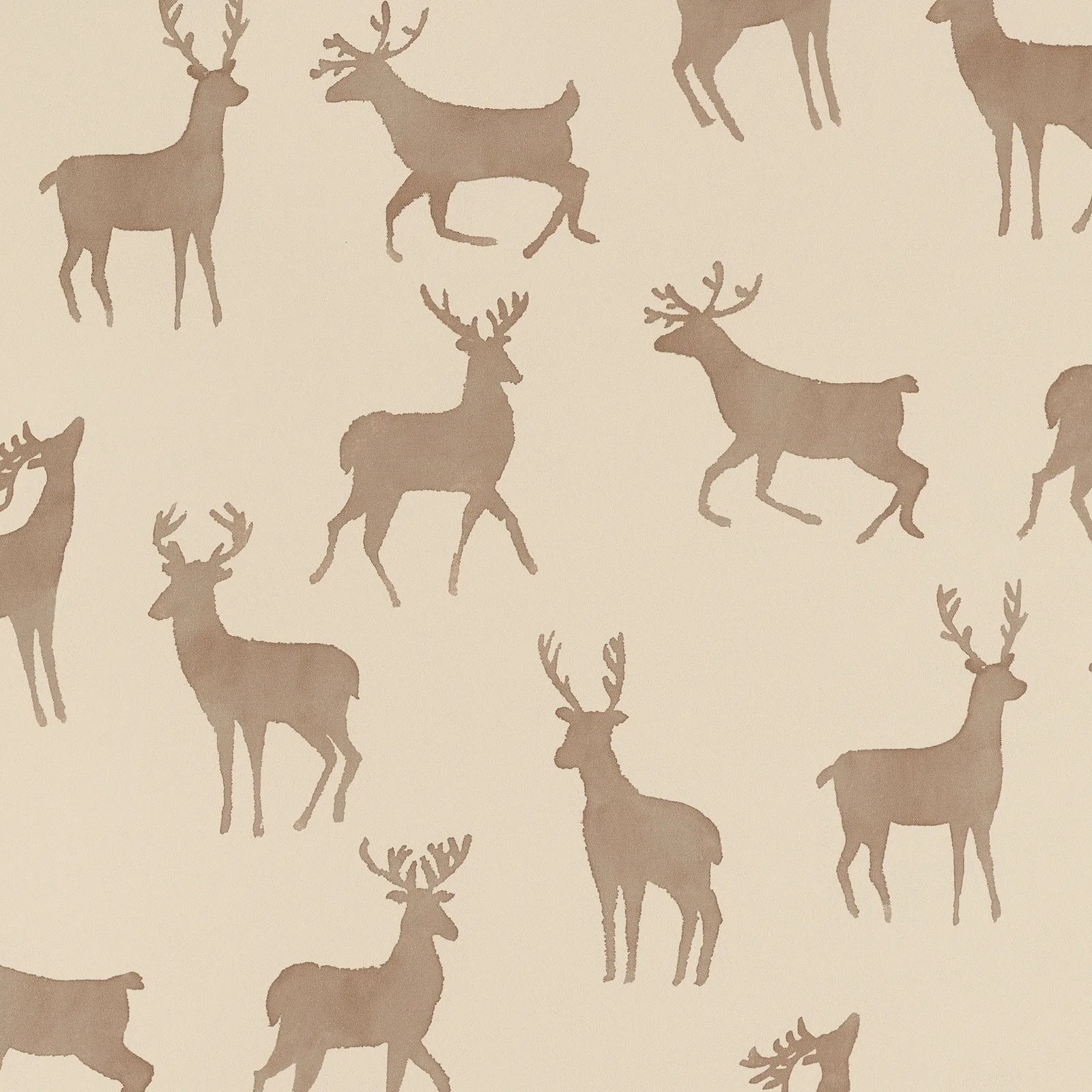 BUCKS - Camel. Фото 1 из 1