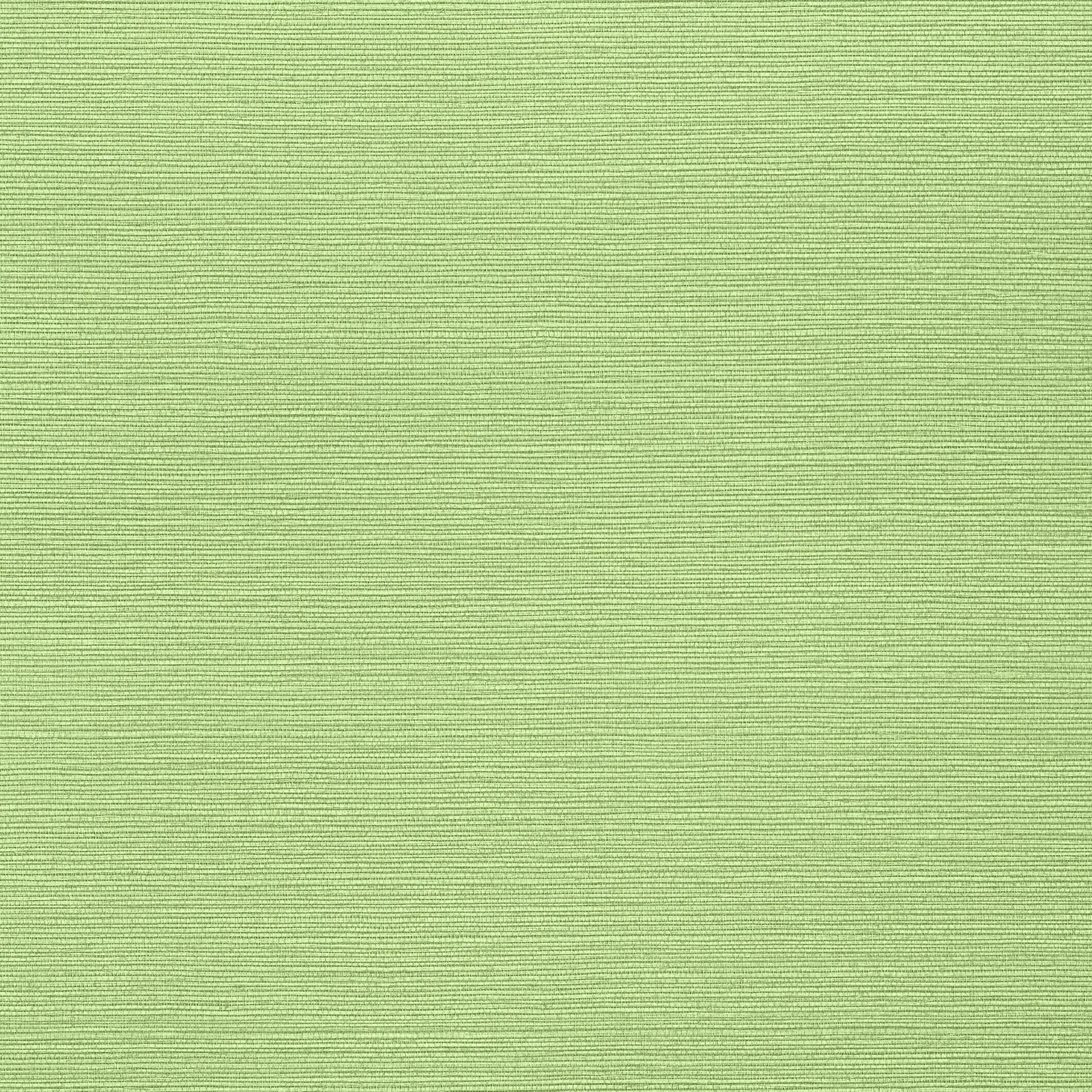 TALUK SISAL WIDE WIDTH - Spring. Фото 1 из 1
