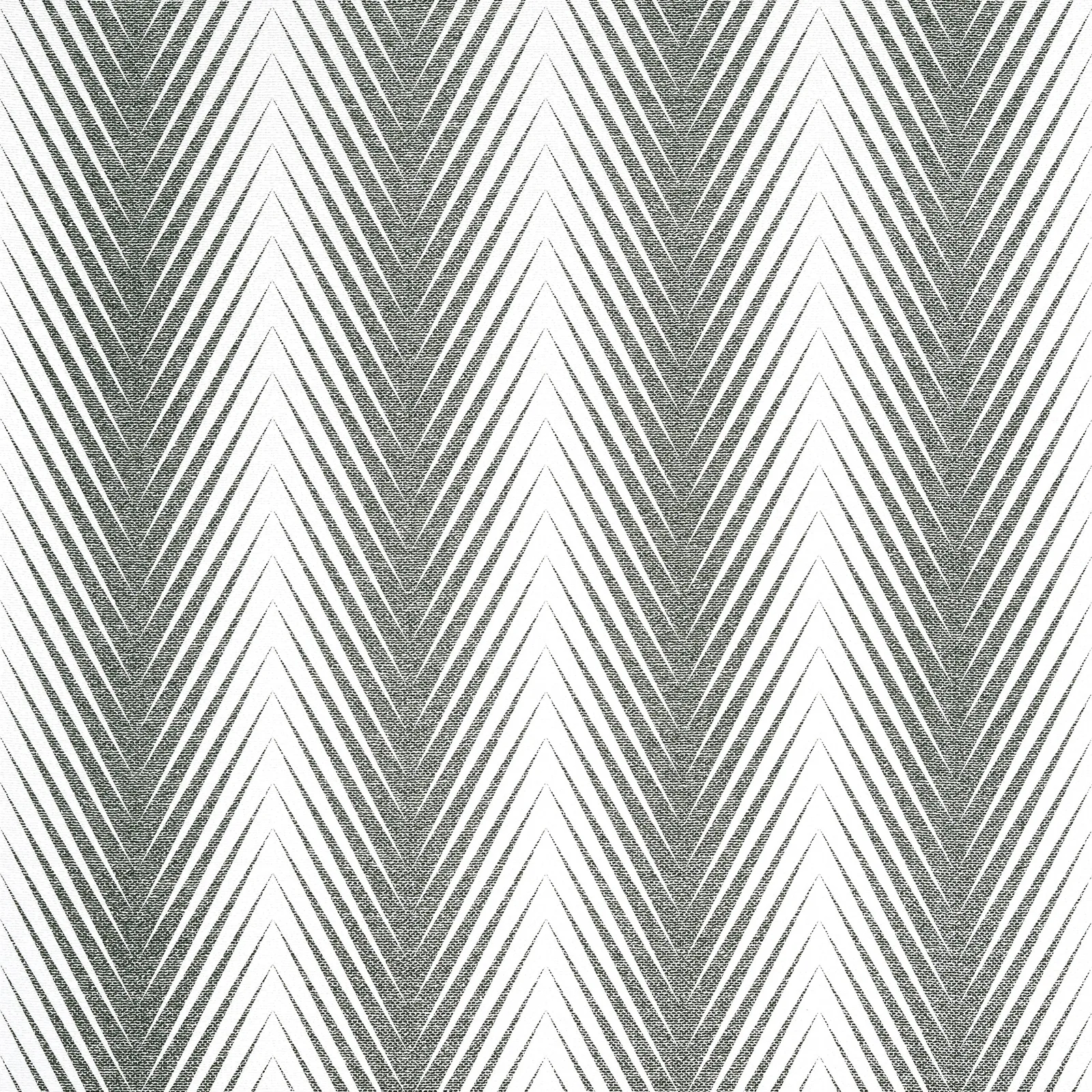 VIVA - Black and White. Фото 1 из 1