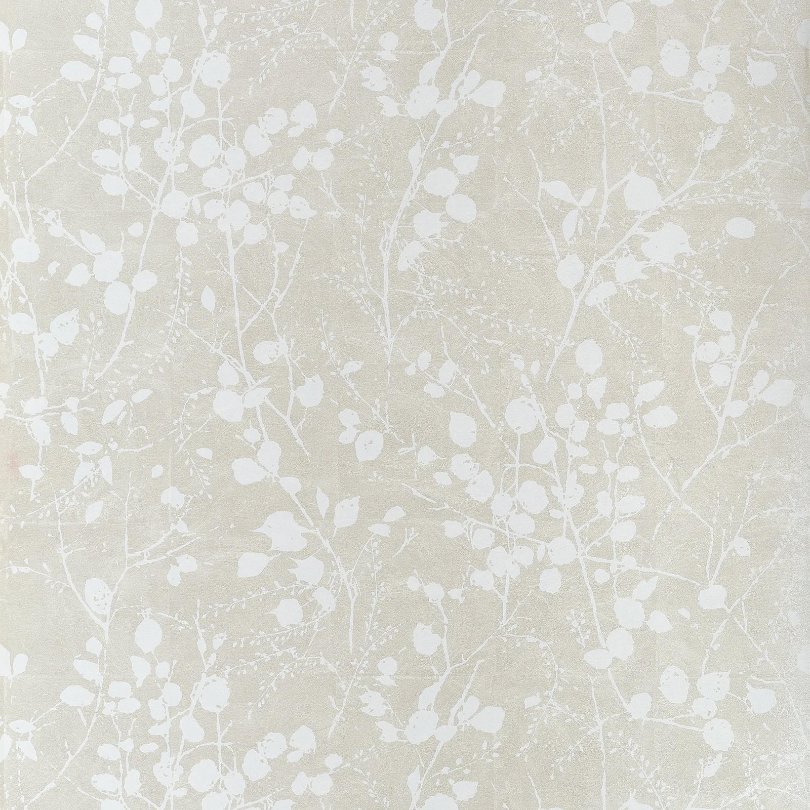 KATAMARI BUD WIDE WIDTH - Pearl and White TWW34096