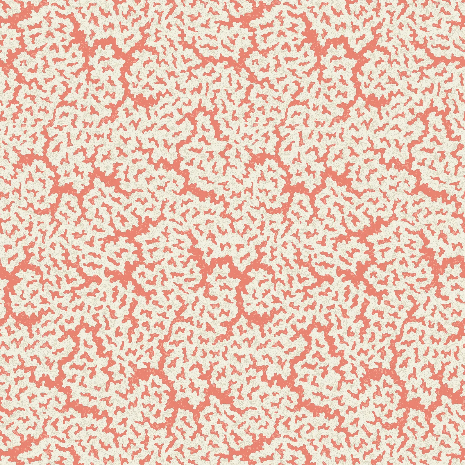 MALDIVES - Coral. Фото 1 из 1
