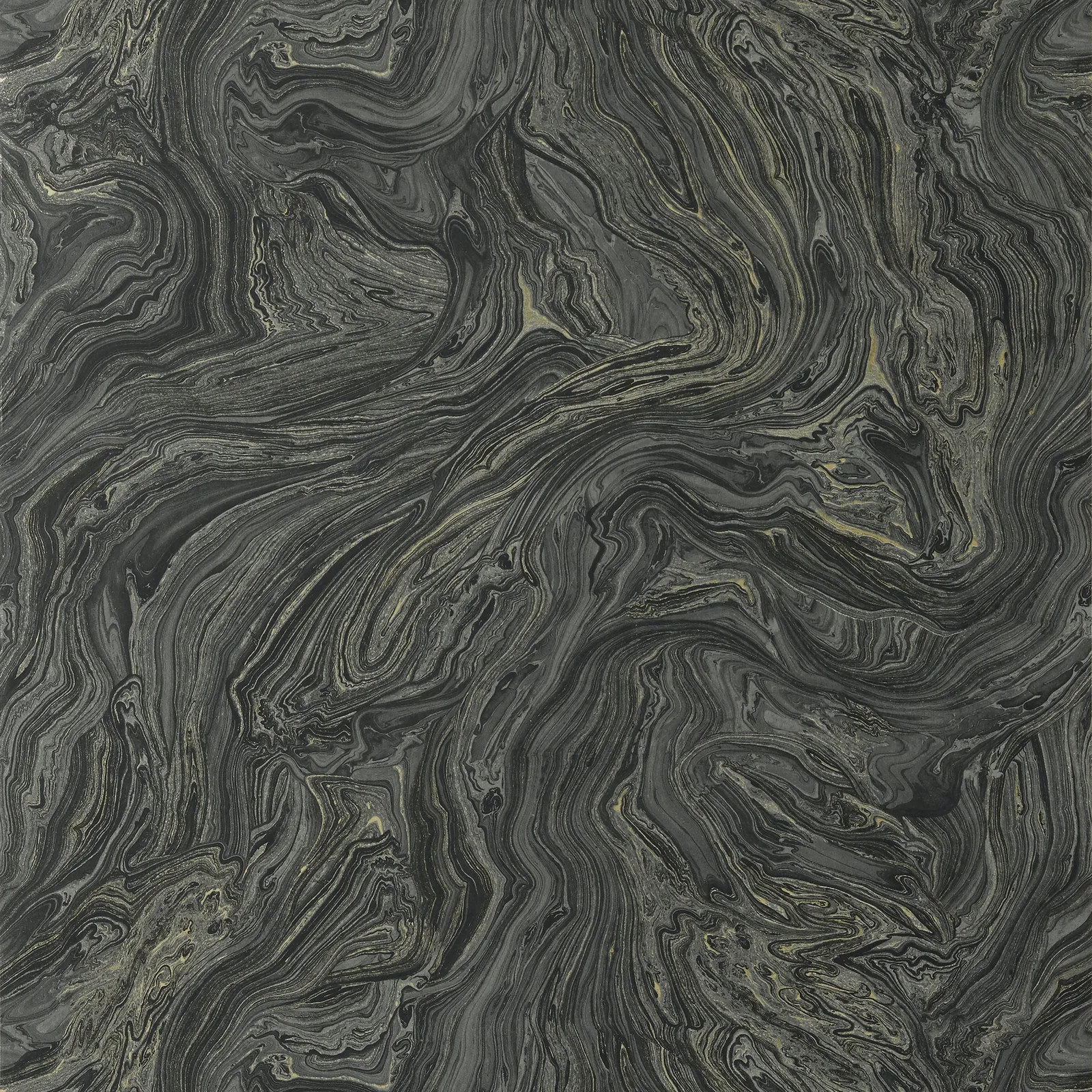 VENUS - Black. Фото 1 из 1