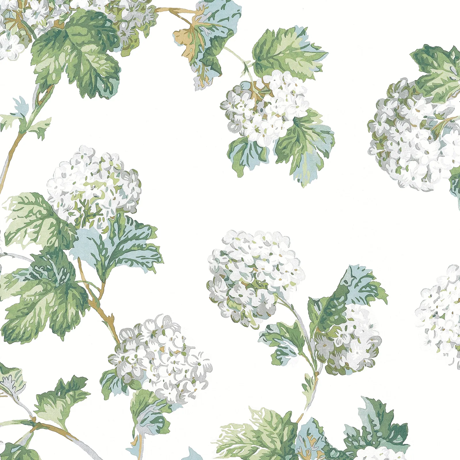 SUSSEX HYDRANGEA - White and Green. Фото 1 из 1