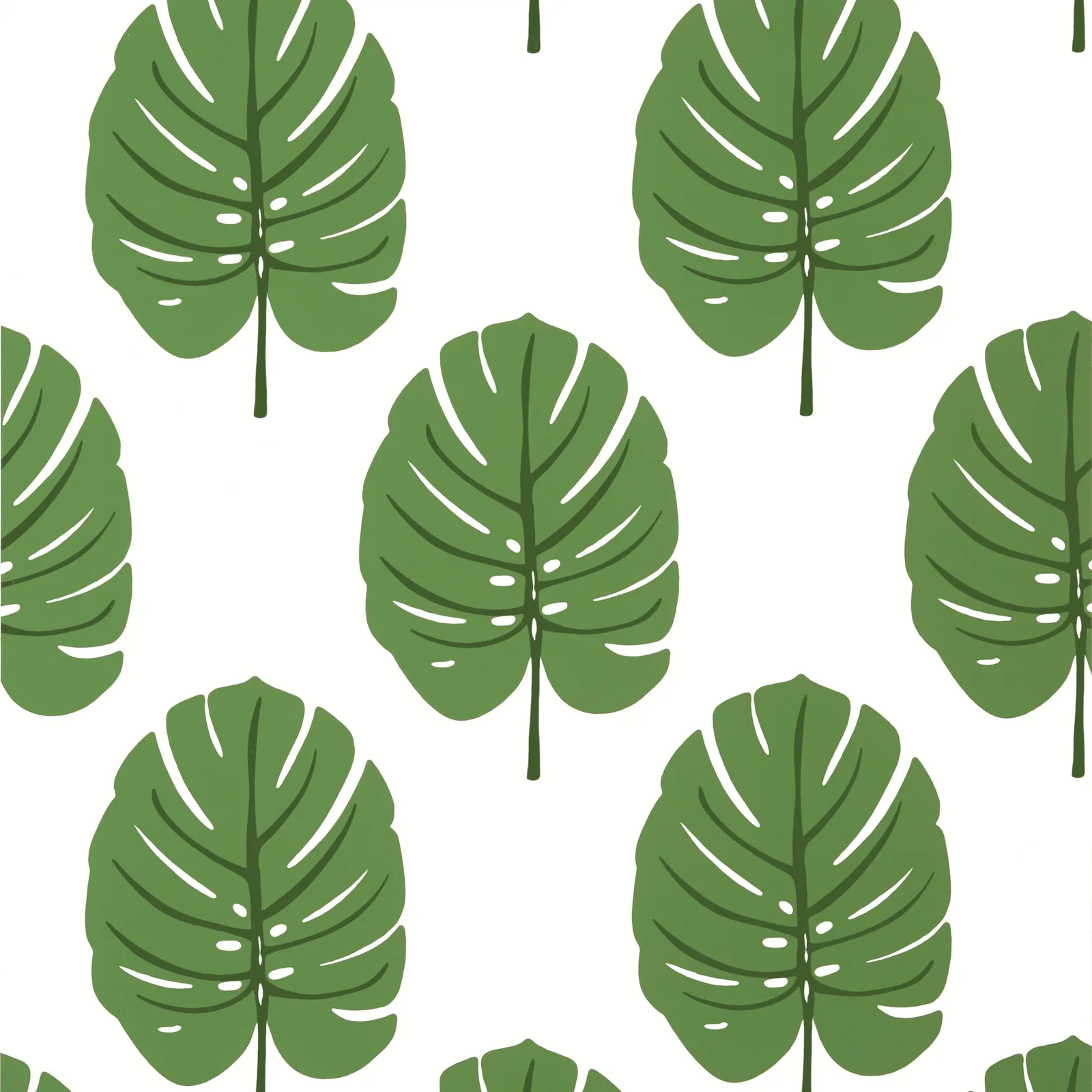 MONSTERA - Green. Фото 1 из 1