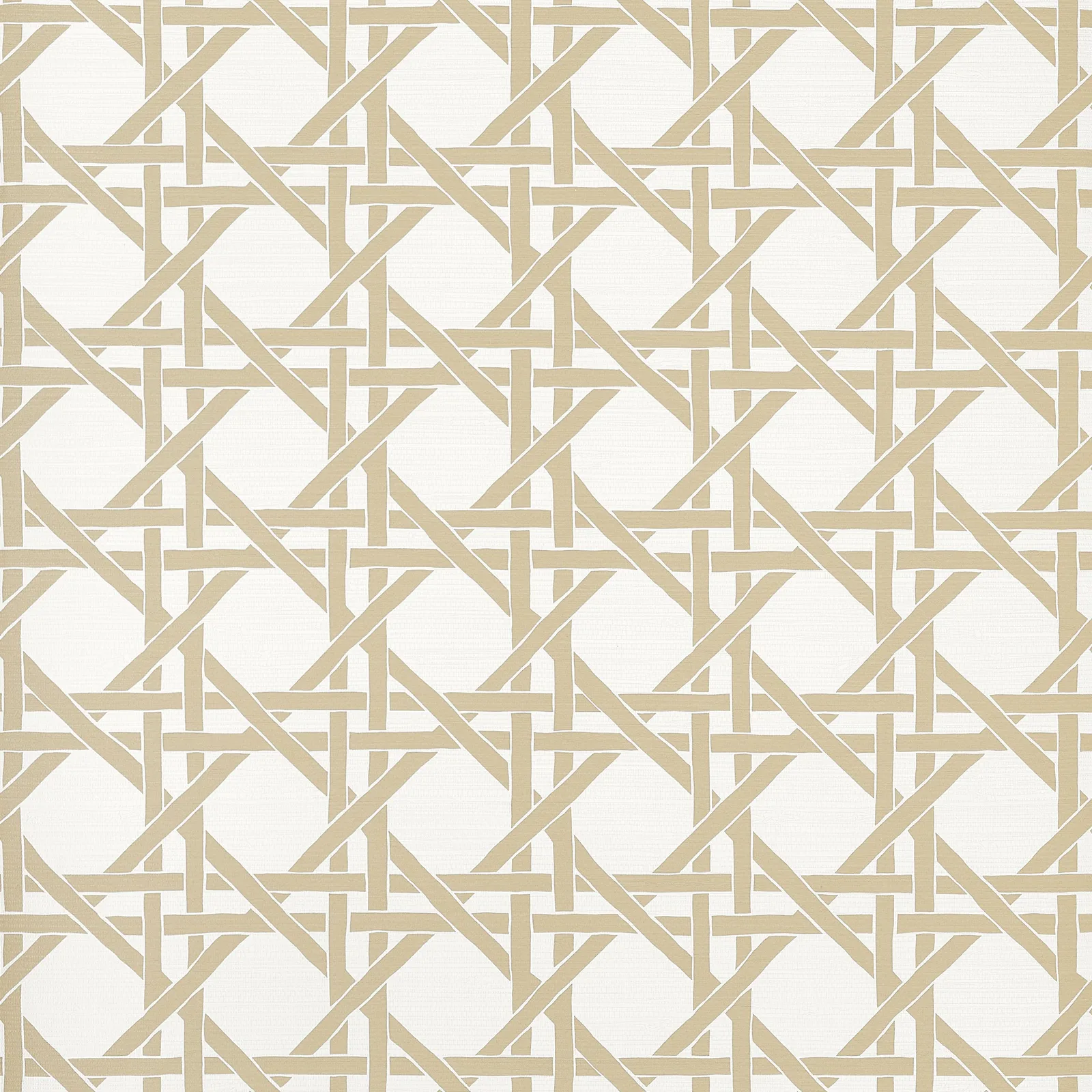 CANARY TRELLIS - Beige T15817
