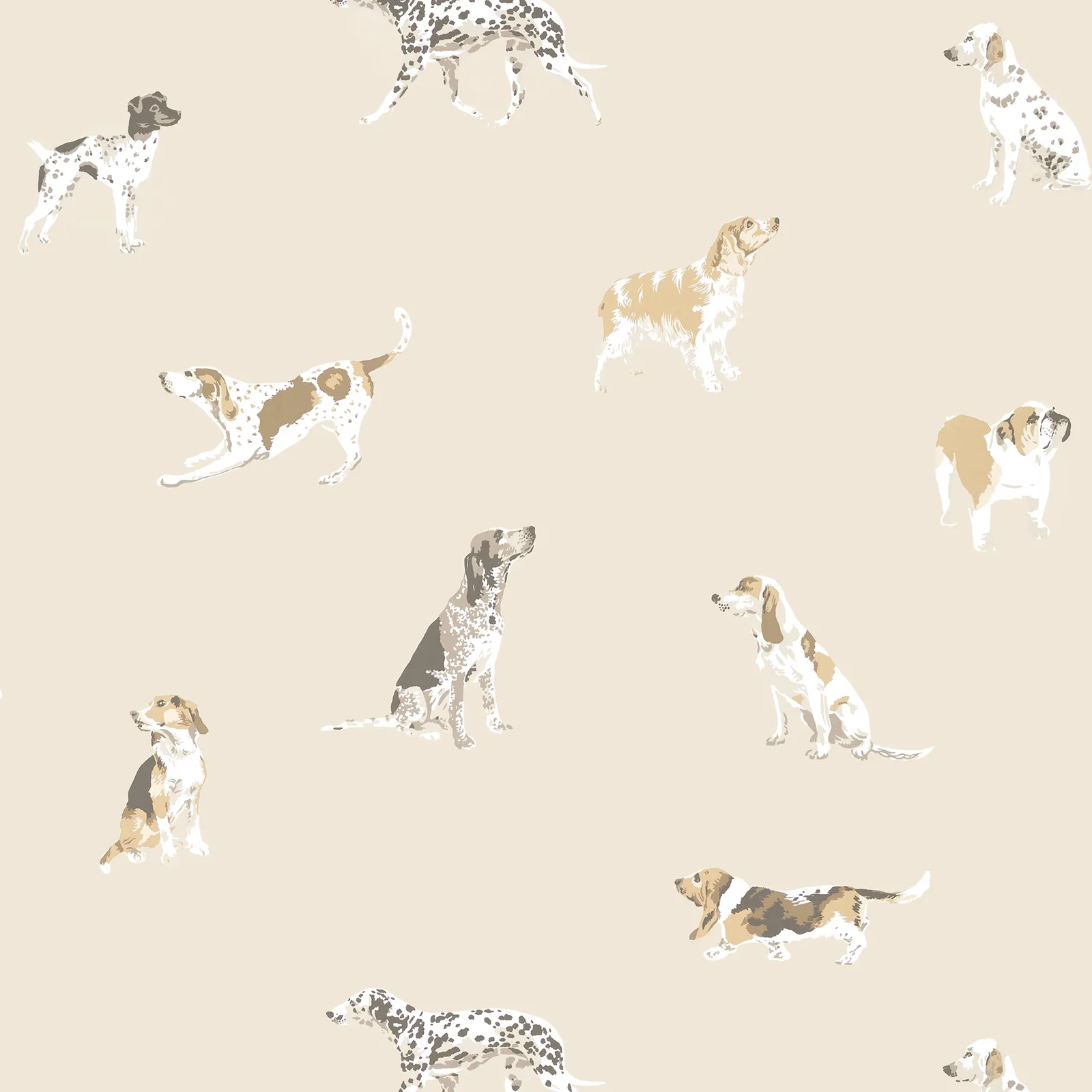 BUDDY - Neutral. Фото 1 из 1
