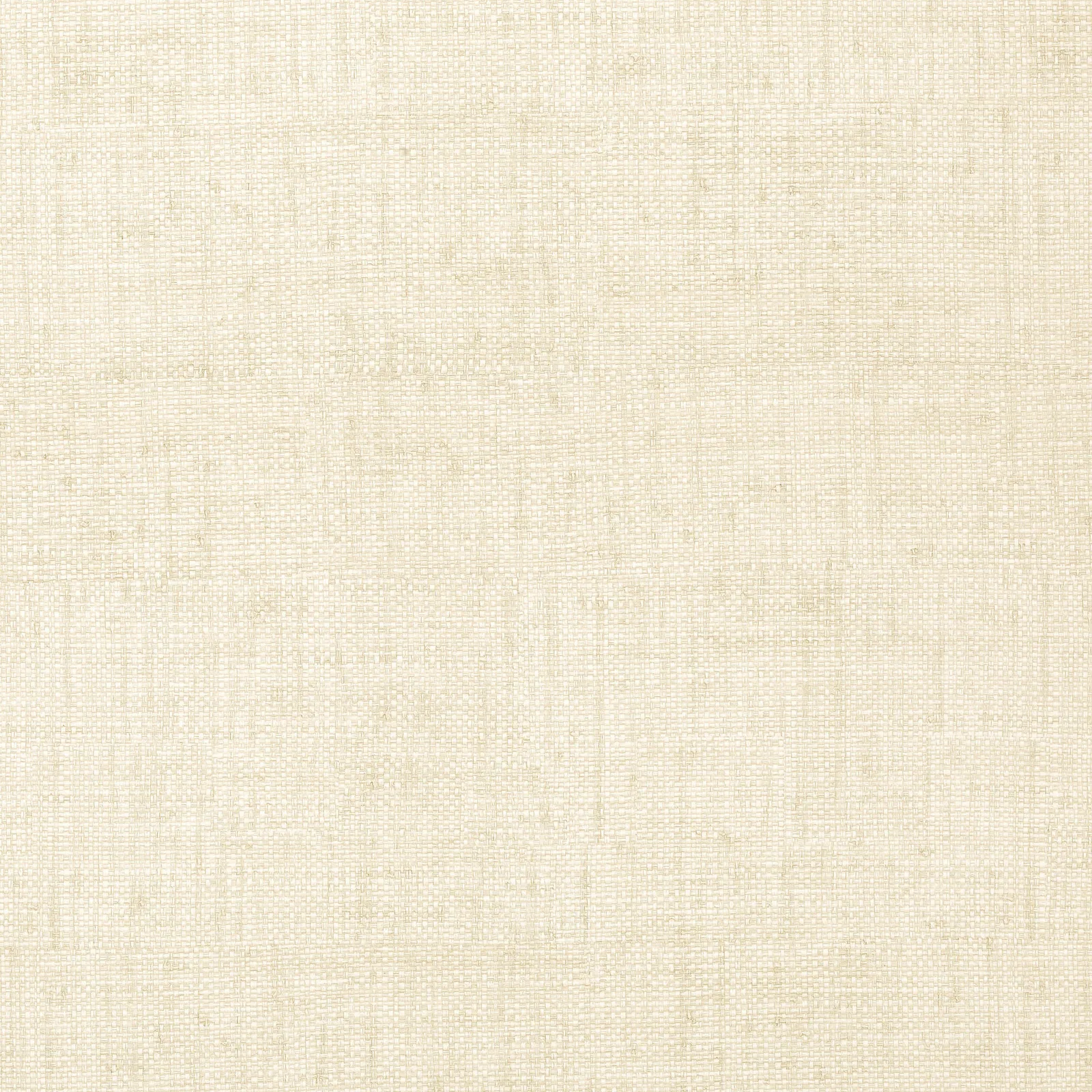BANKUN RAFFIA - Off White T14134