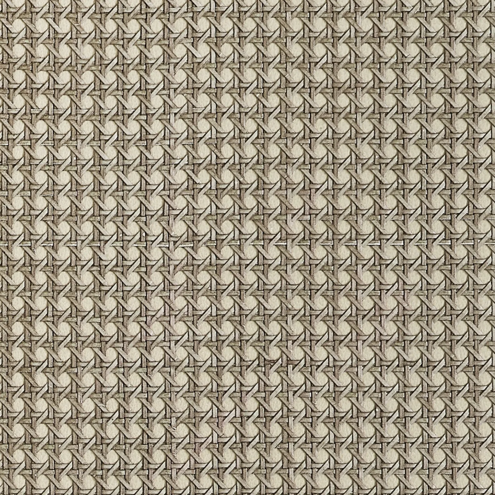 PAPER RATTAN - Beige. Фото 1 из 1