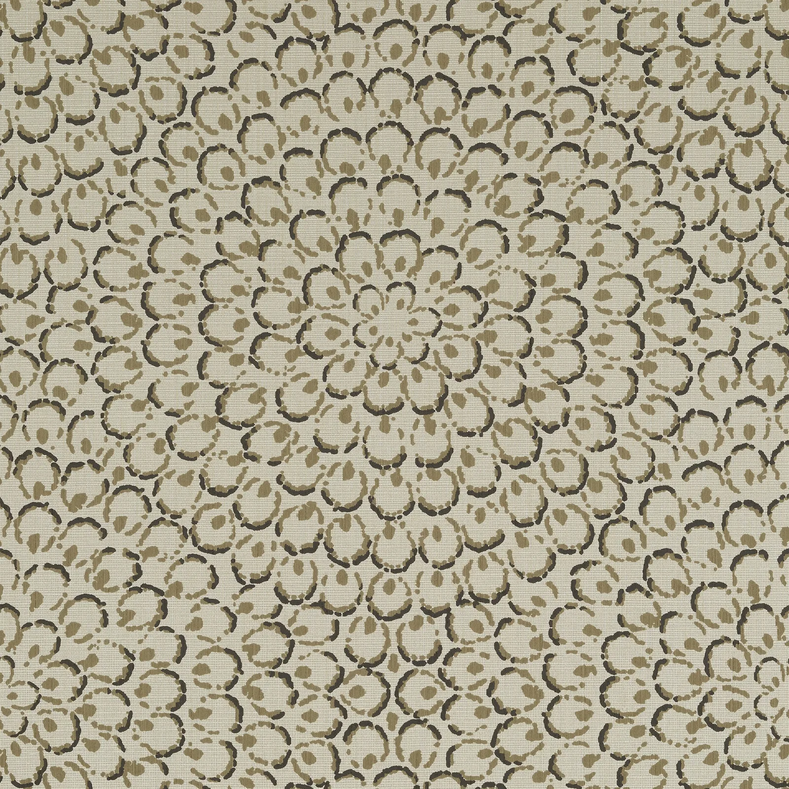 ASTER - Charcoal. Фото 1 из 1
