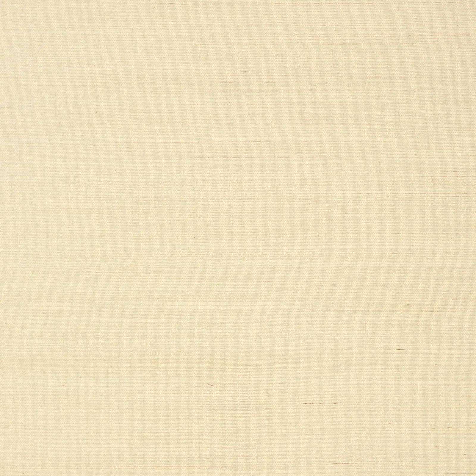 SHANG EXTRA FINE SISAL - Beige. Фото 1 из 1