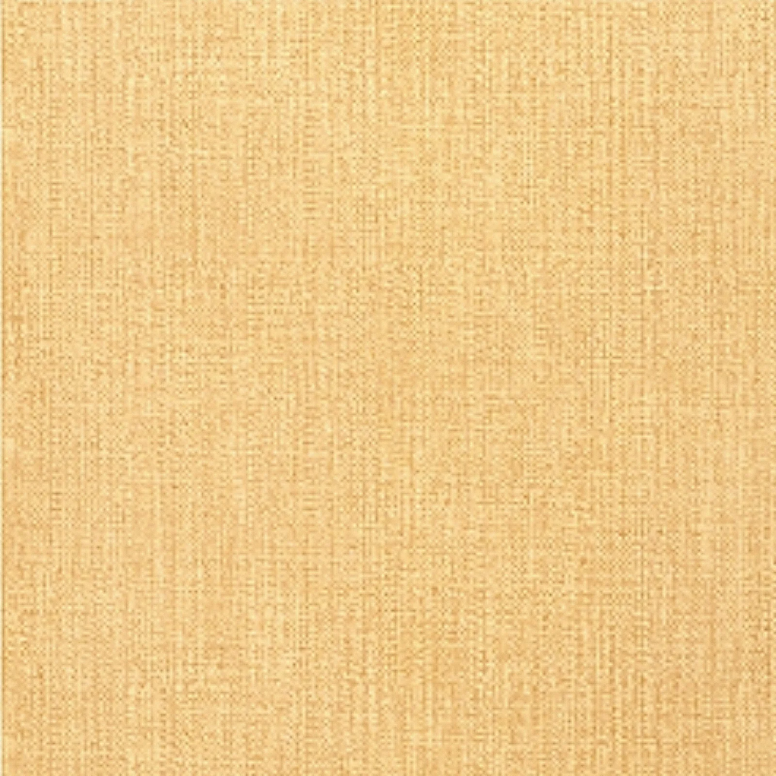 CABO RAFFIA - Straw T7071