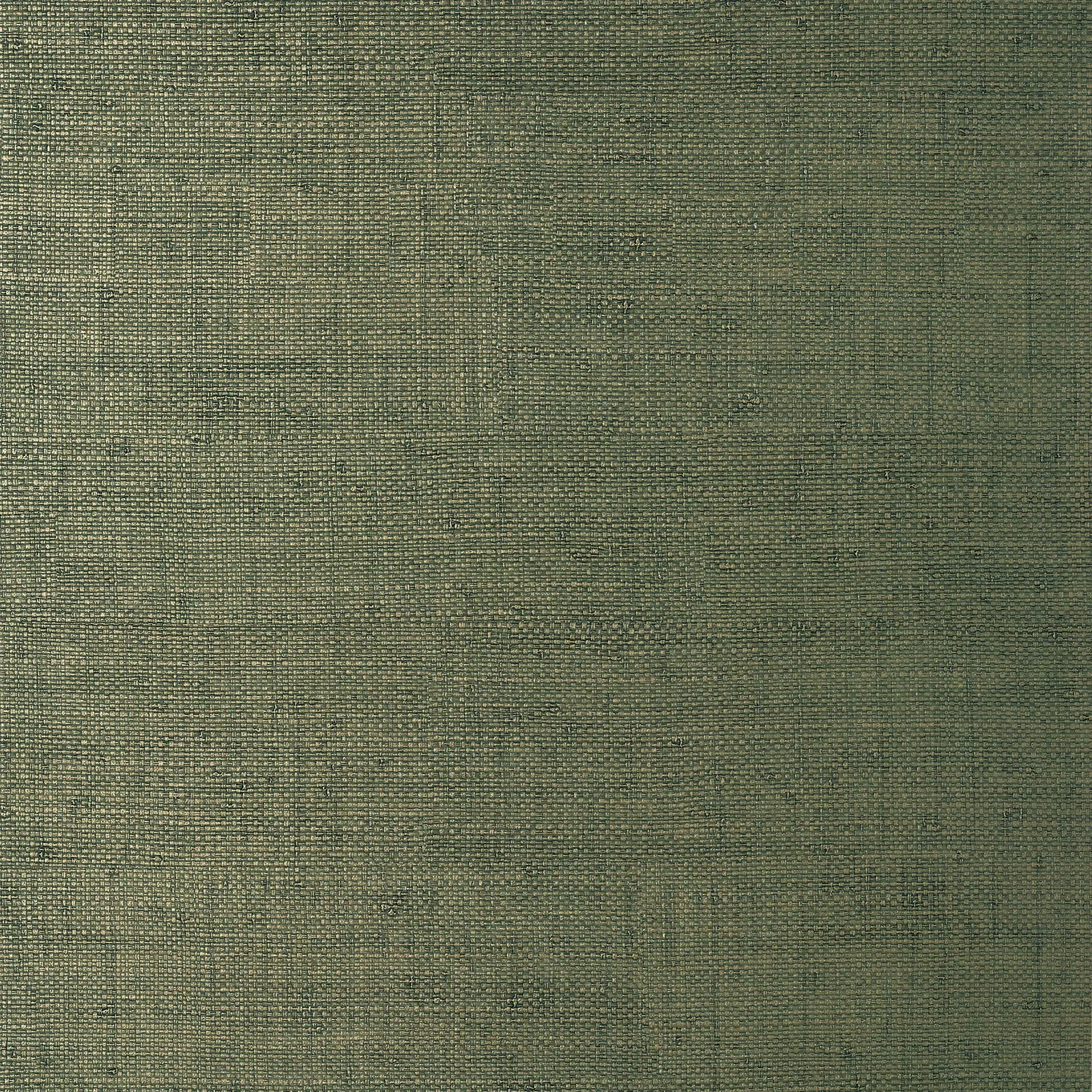 BANKUN RAFFIA - Forest T14513