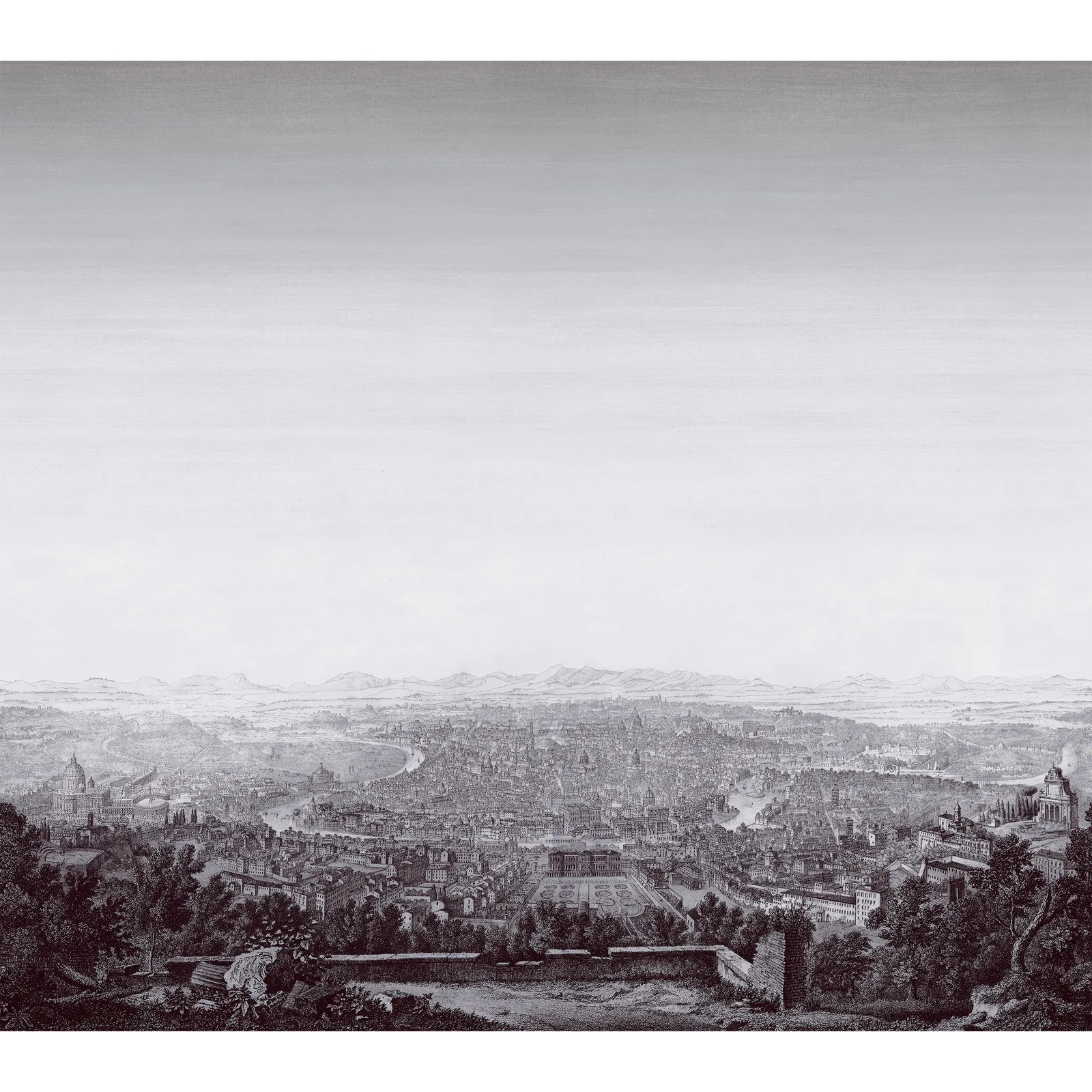 ROMA MURAL - Black. Фото 1 из 1