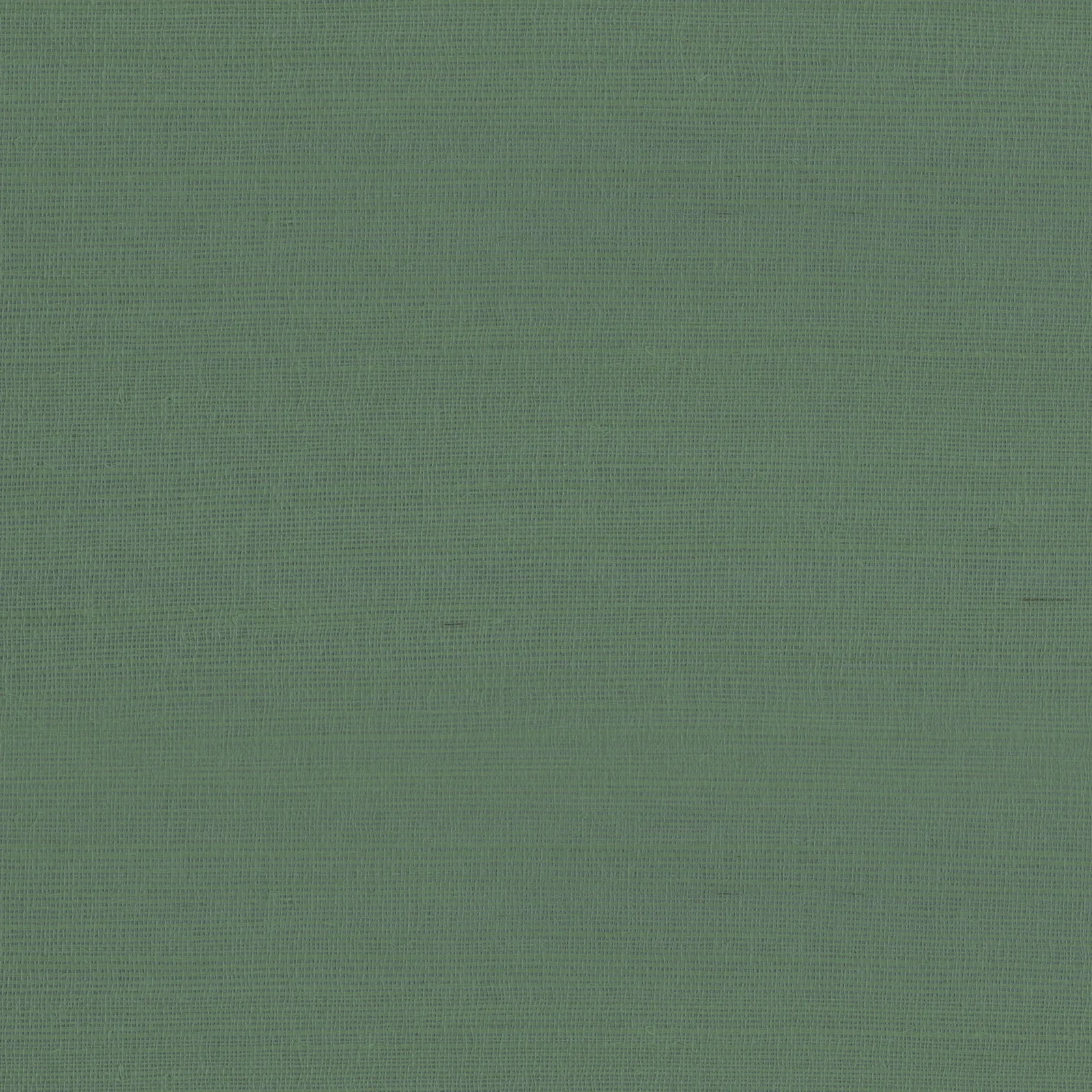 RAFIA PLAIN - Green. Фото 1 из 1