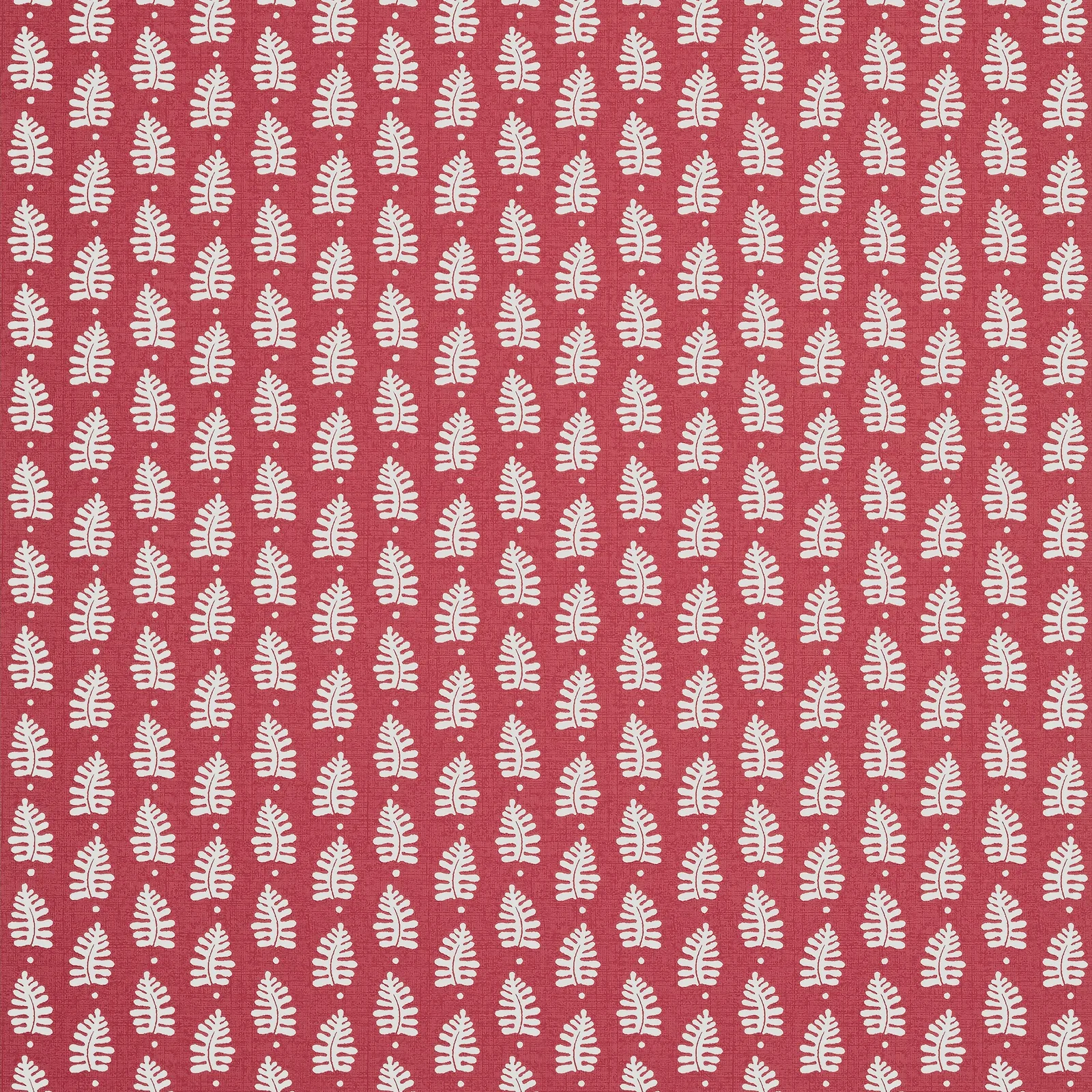 FERNDALE - Pink T10655