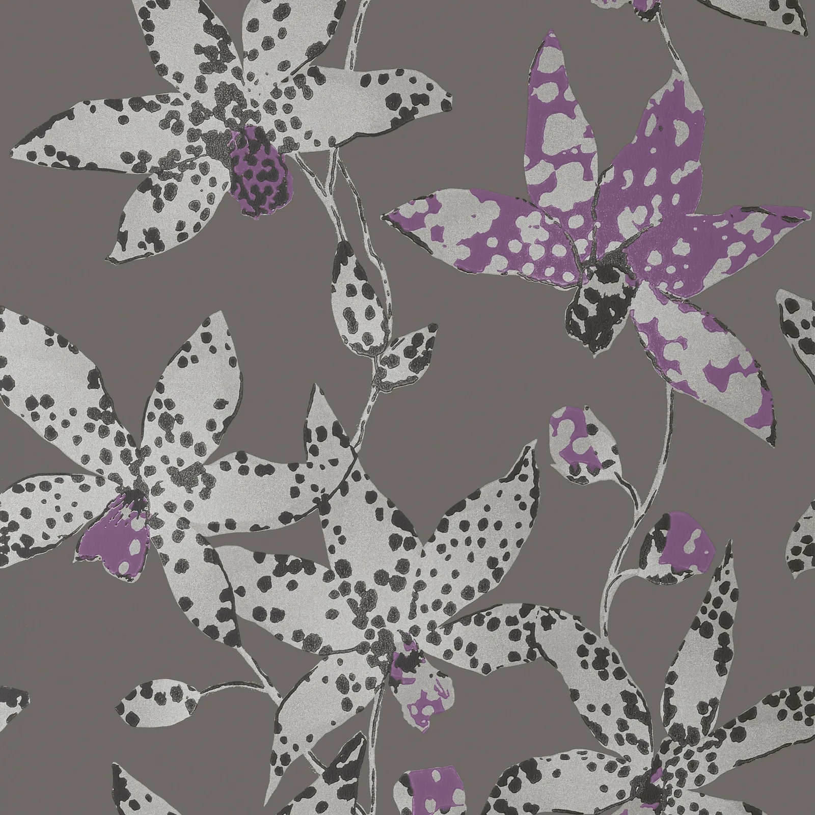 SPOTTED ORCHID - Silver on Charcoal. Фото 1 из 1