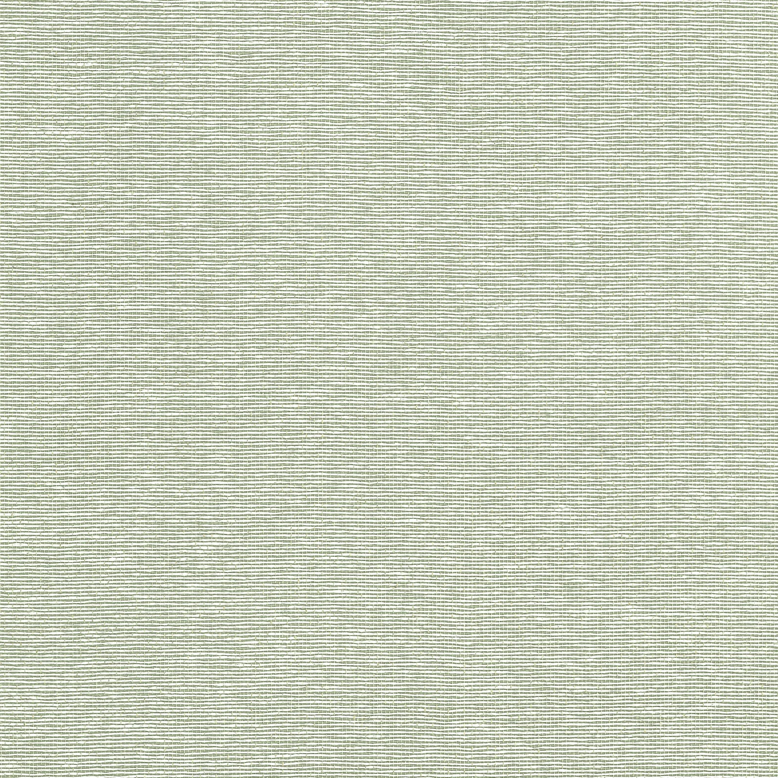 EDWARD'S PAPER - Green. Фото 1 из 1