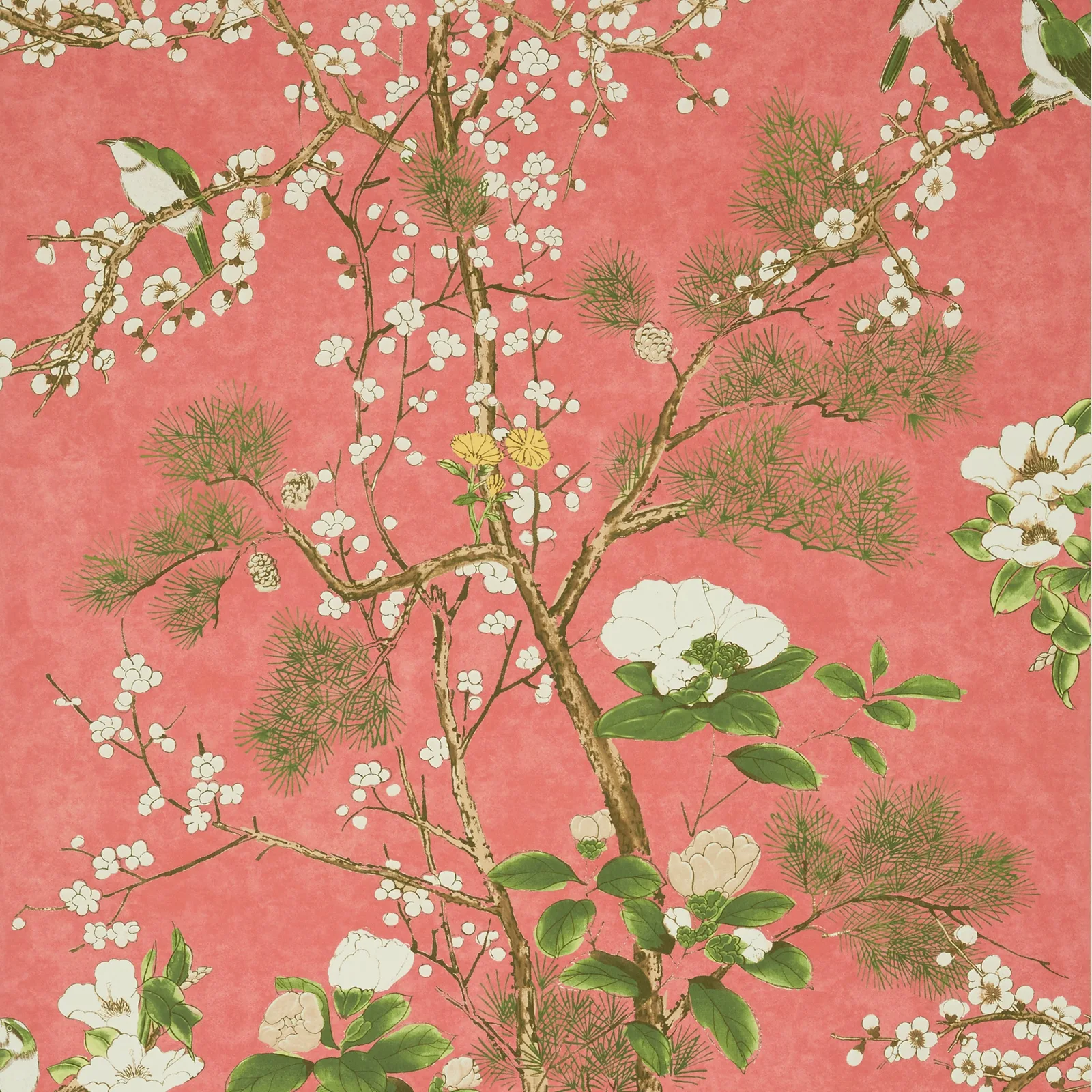 KATSURA - Coral. Фото 1 из 1