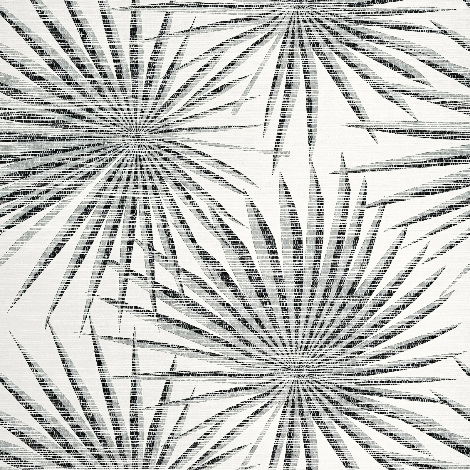 PALM FROND - Black and White. Фото 1 из 1