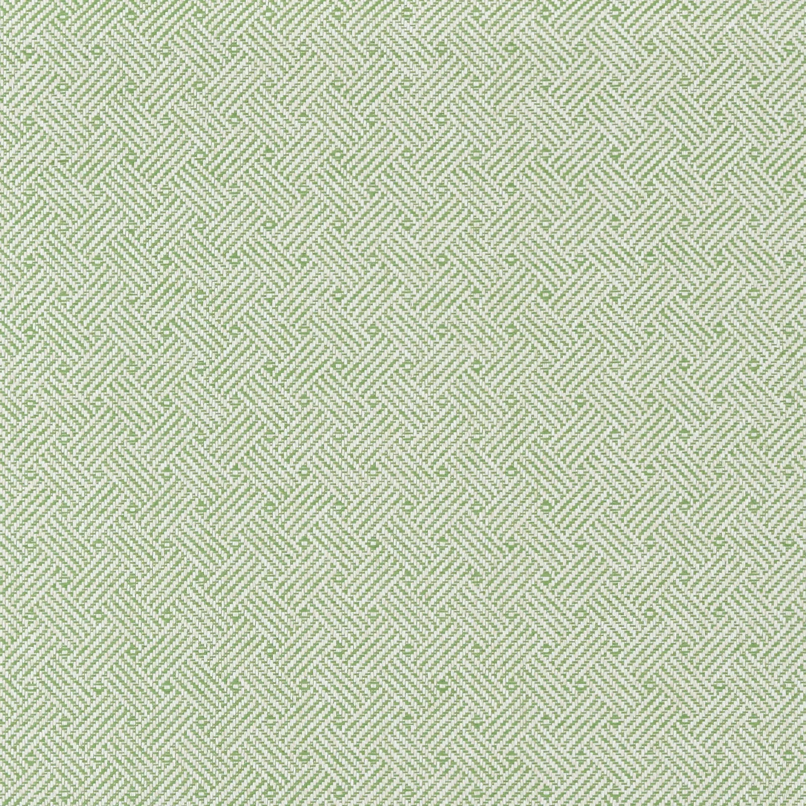 LATTICE WEAVE - Green. Фото 1 из 1