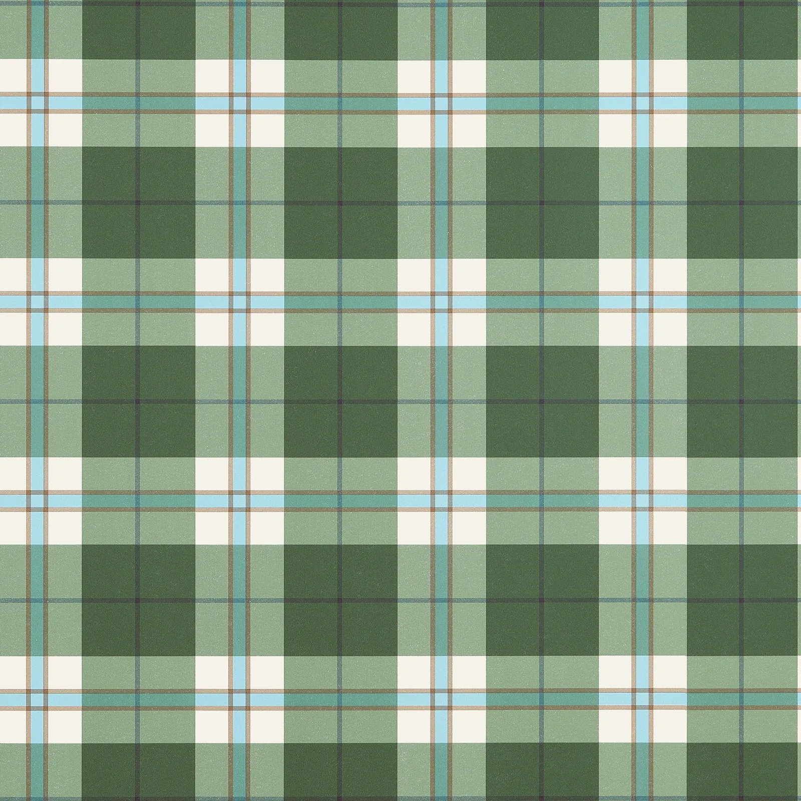 DOUGLAS PLAID - Green. Фото 1 из 1