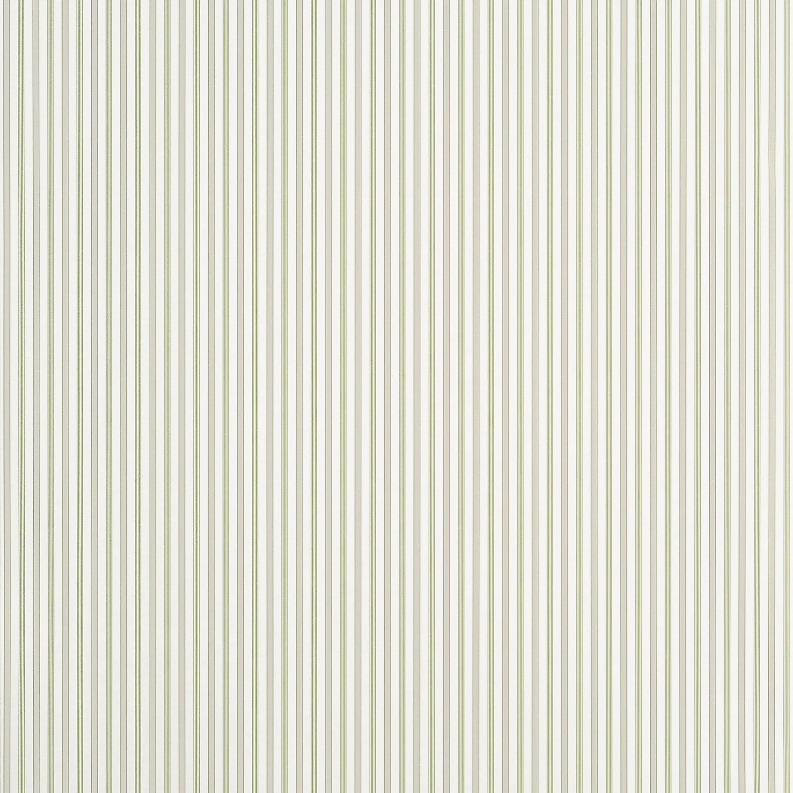 CONNER STRIPE - Green and Beige. Фото 1 из 1