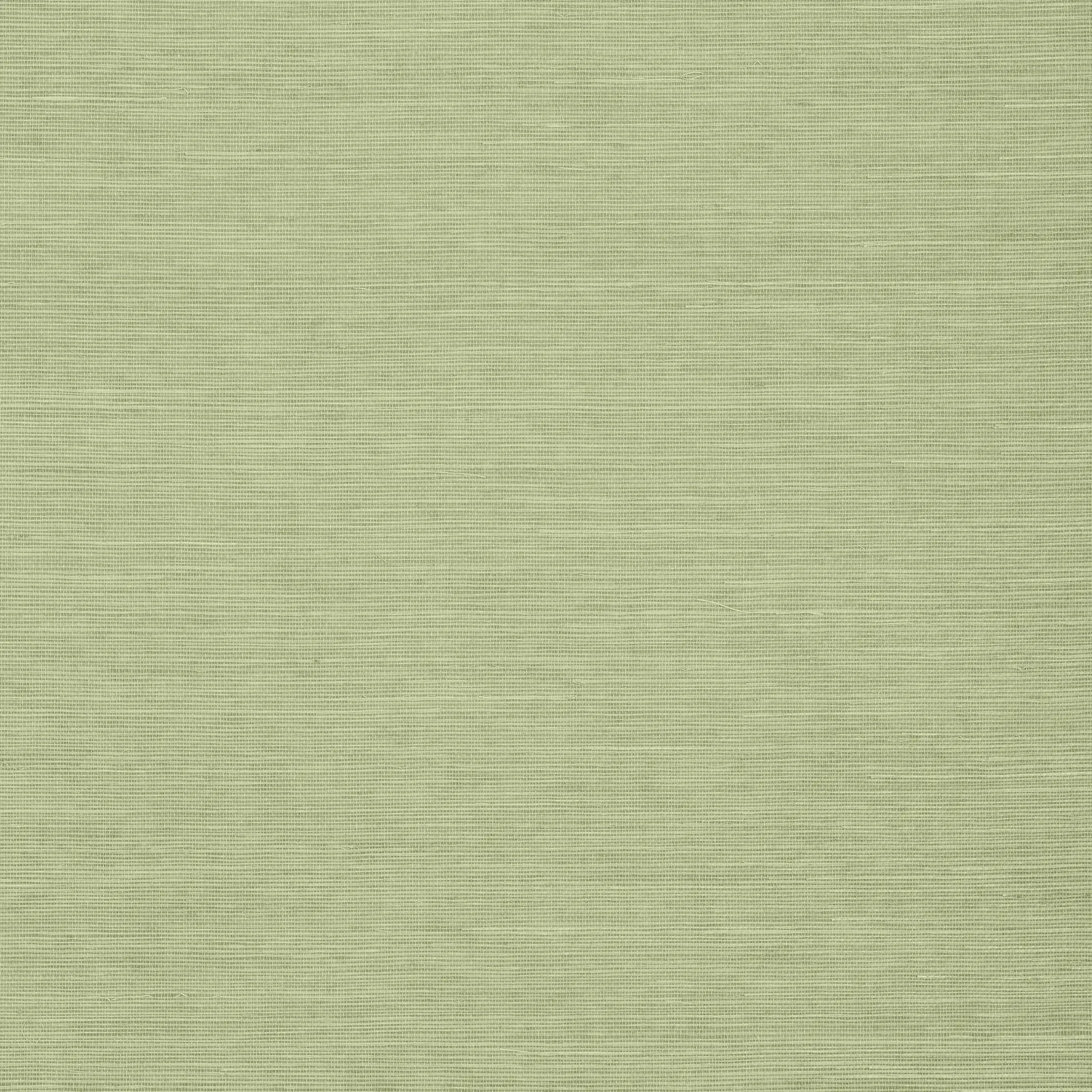 SHANG EXTRA FINE SISAL - Willow. Фото 1 из 1