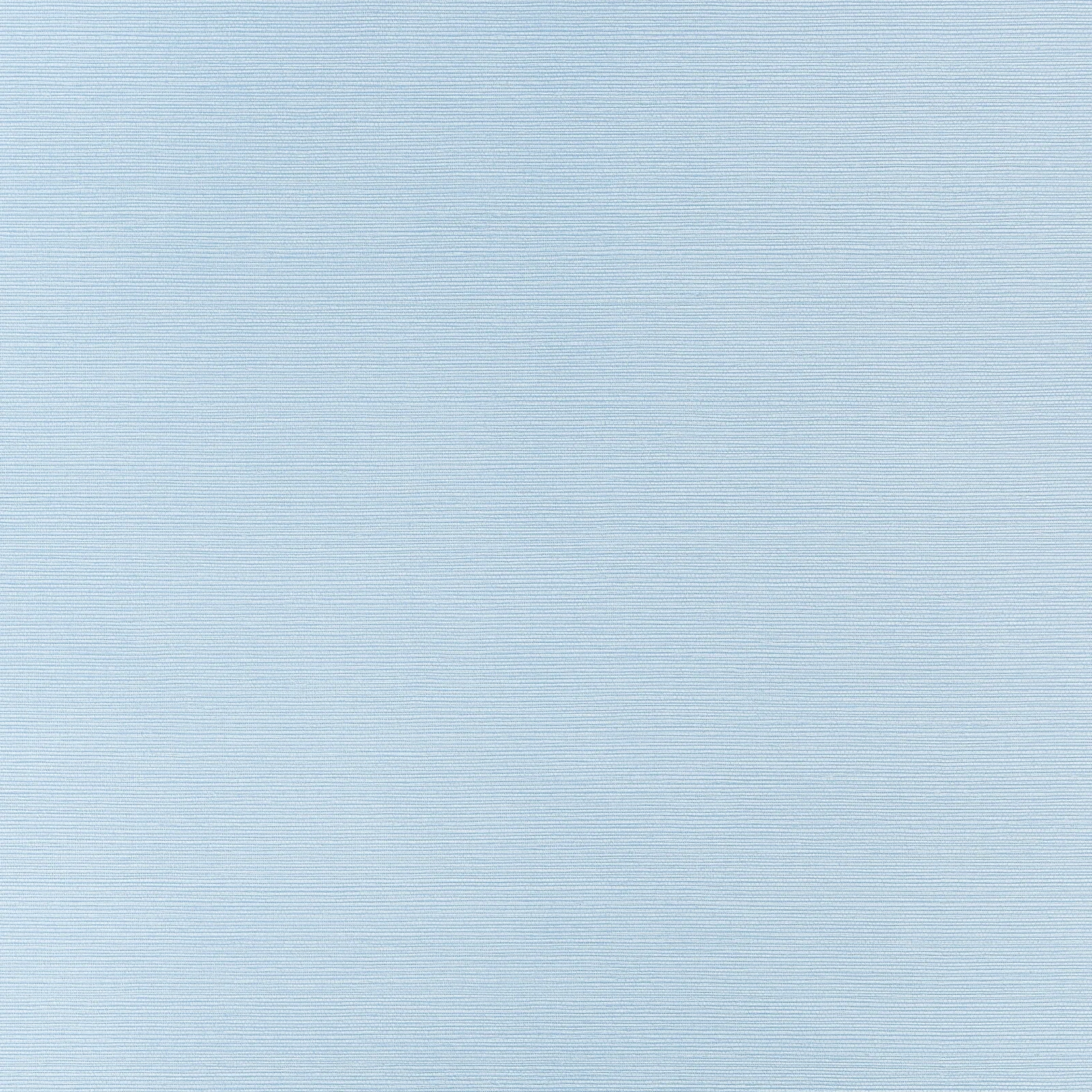 TALUK SISAL WIDE WIDTH - Sky Blue. Фото 1 из 1
