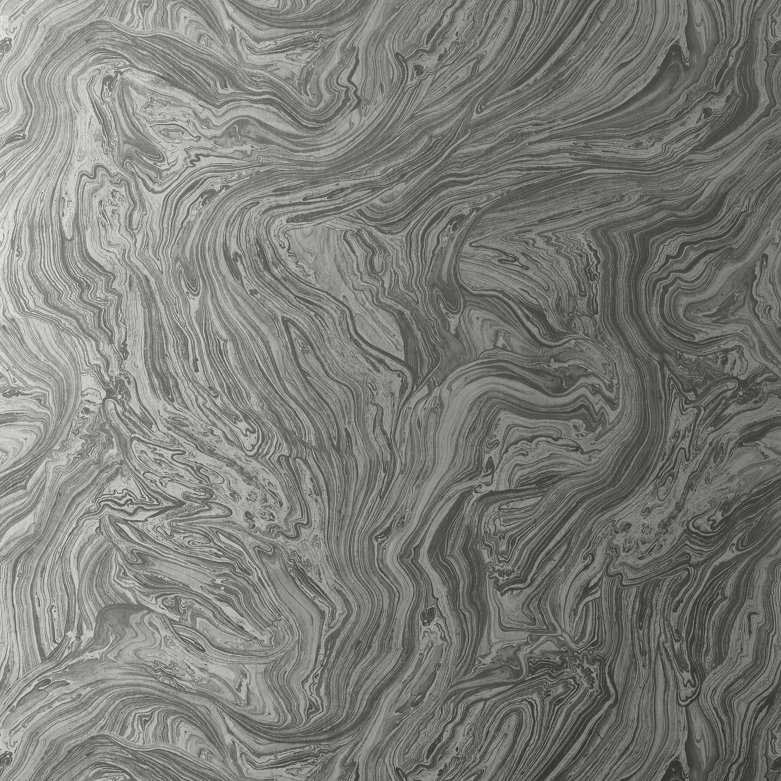 VENUS - Metallic Silver. Фото 1 из 1