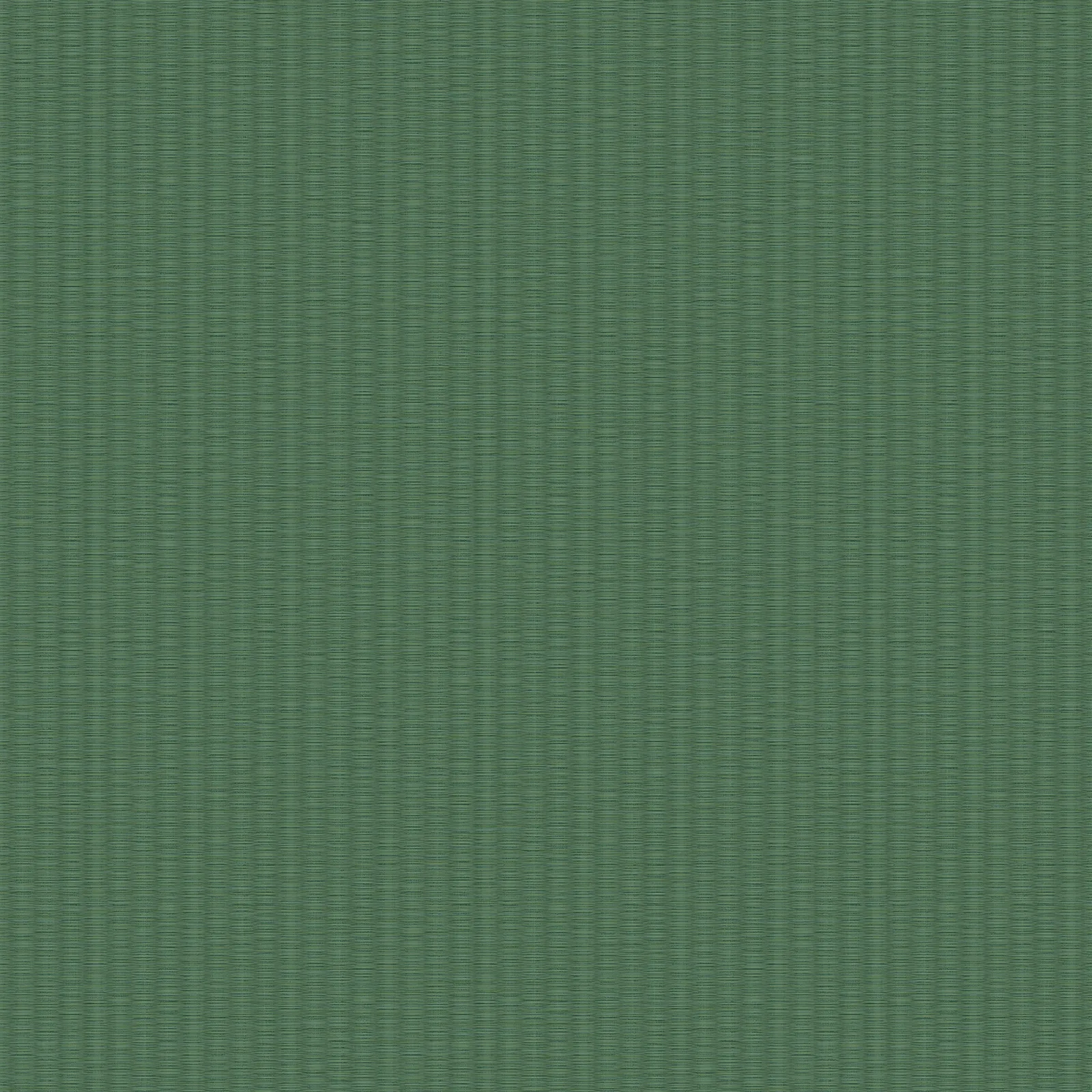 SHINJUKU - Green. Фото 1 из 1
