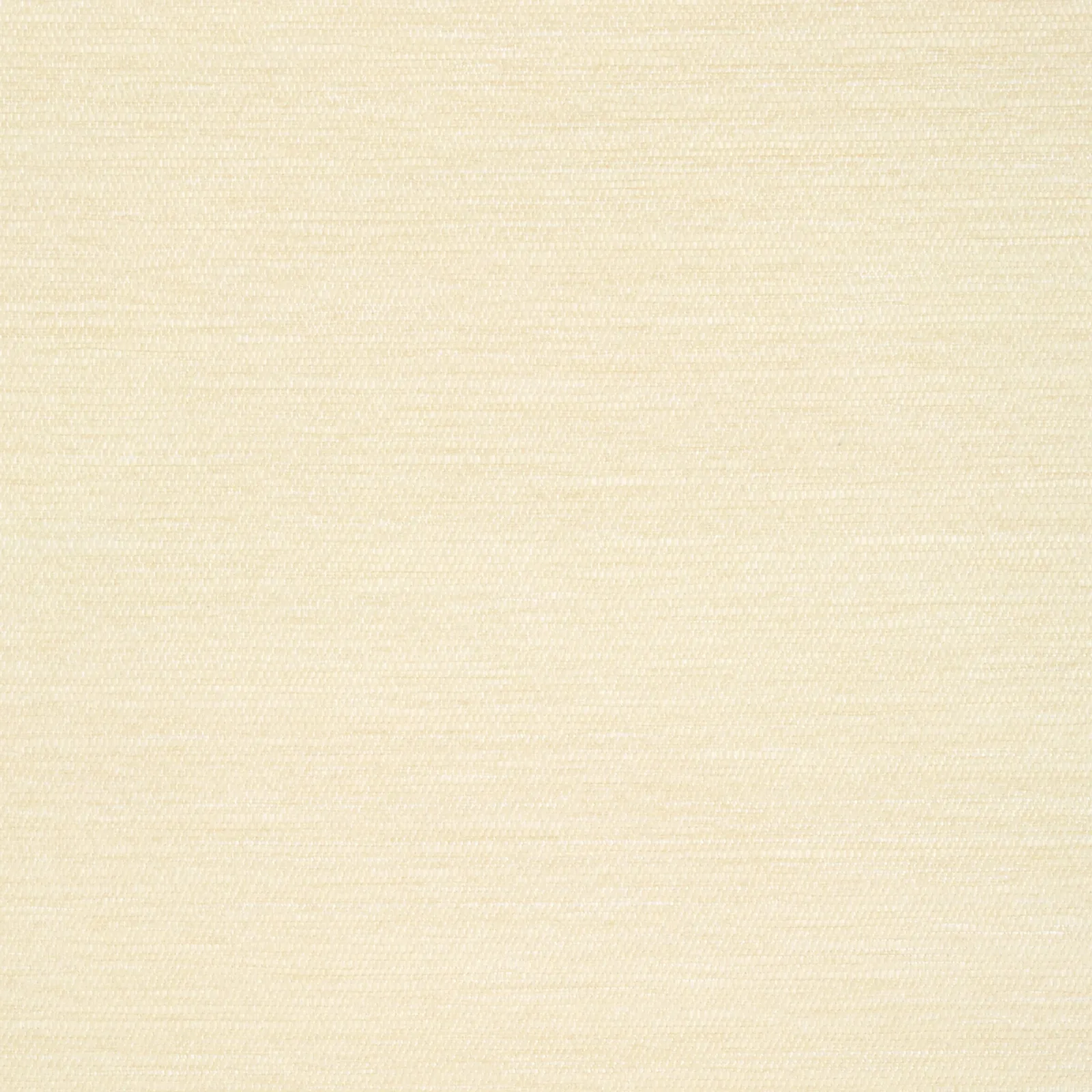 SURFRIDER - Cream. Фото 1 из 1