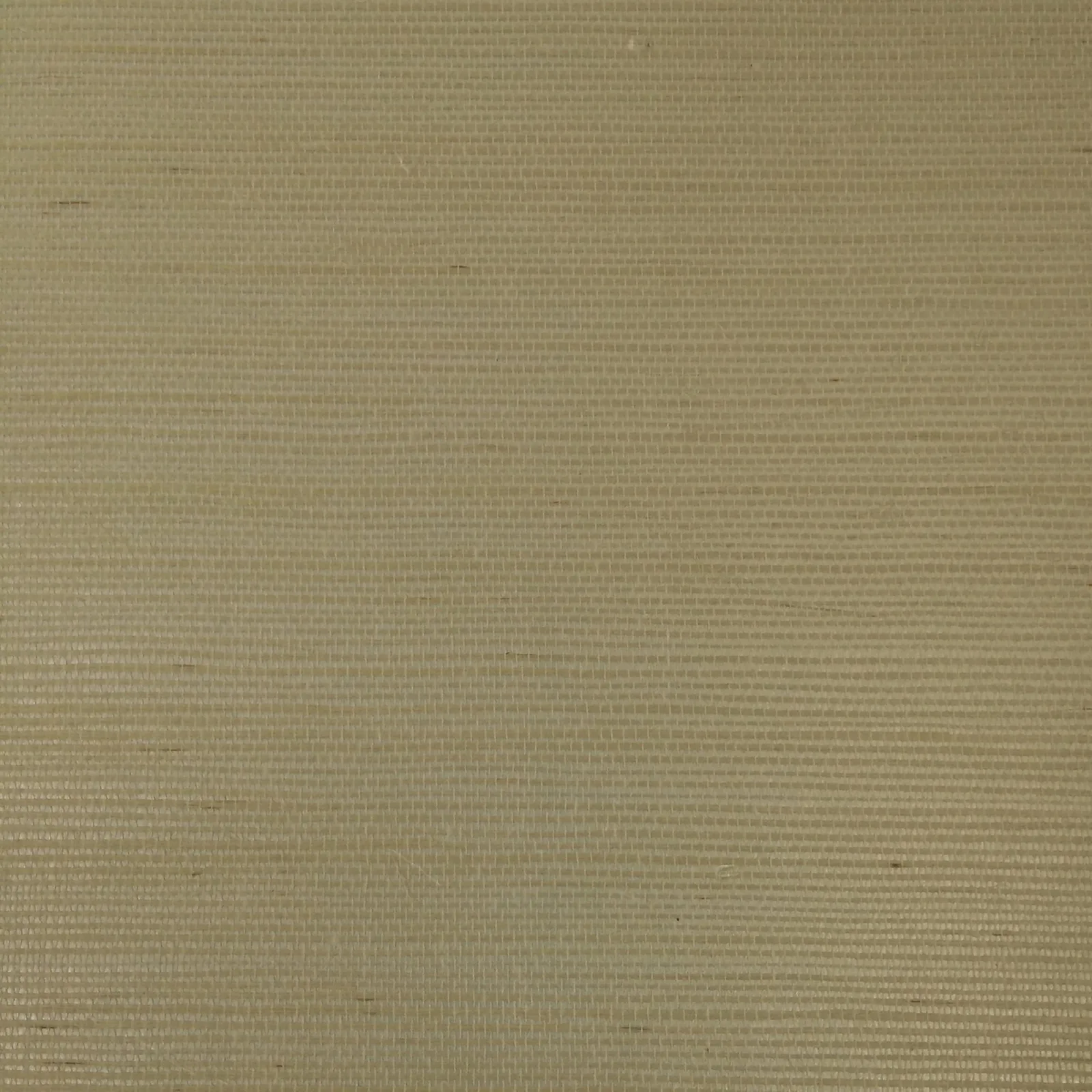 RAFIA PLAIN - Brown. Фото 1 из 1
