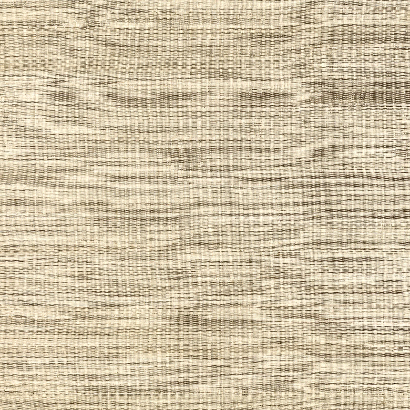 WINDWARD SISAL - Taupe. Фото 1 из 1