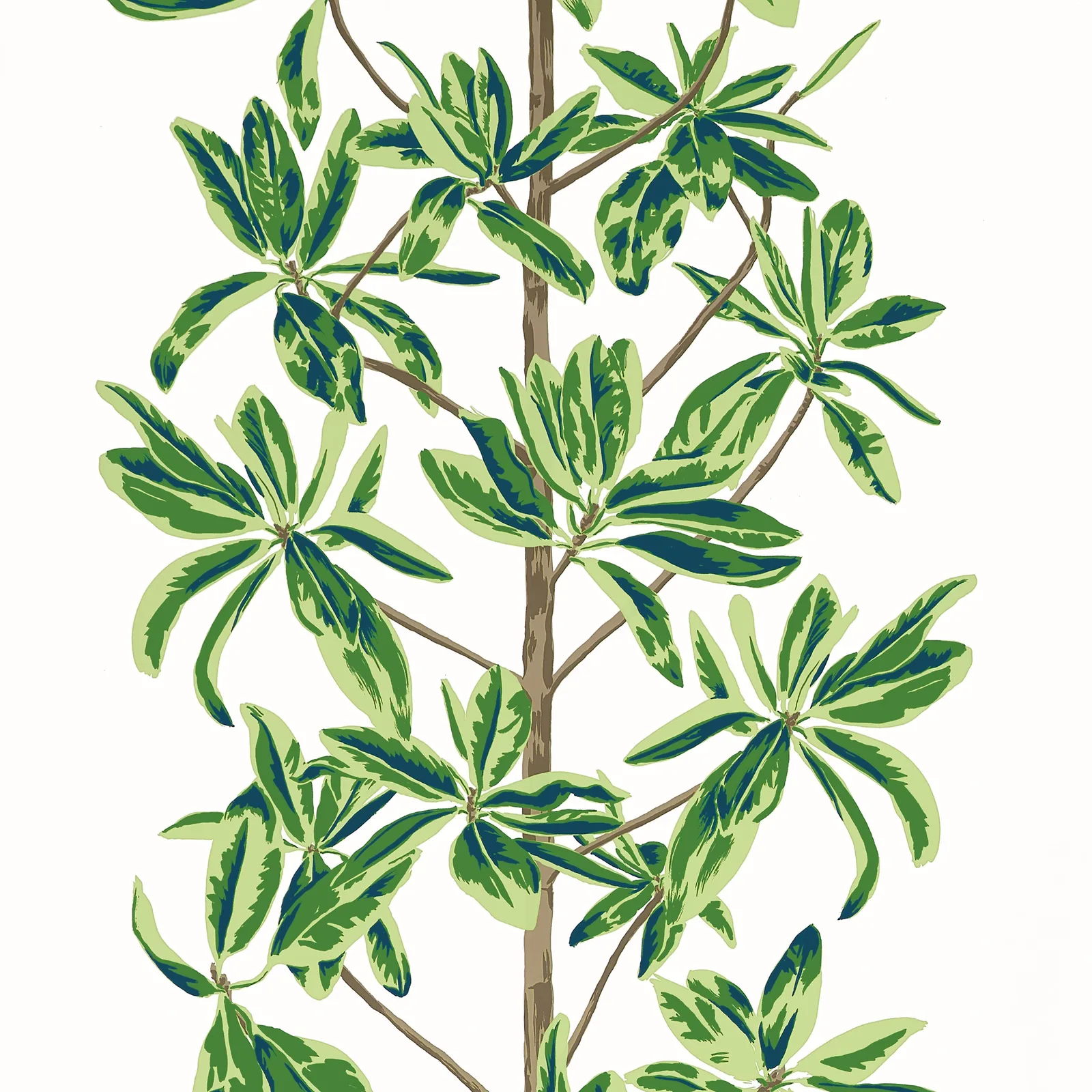 MANGROVE TREE - Green and White T45035