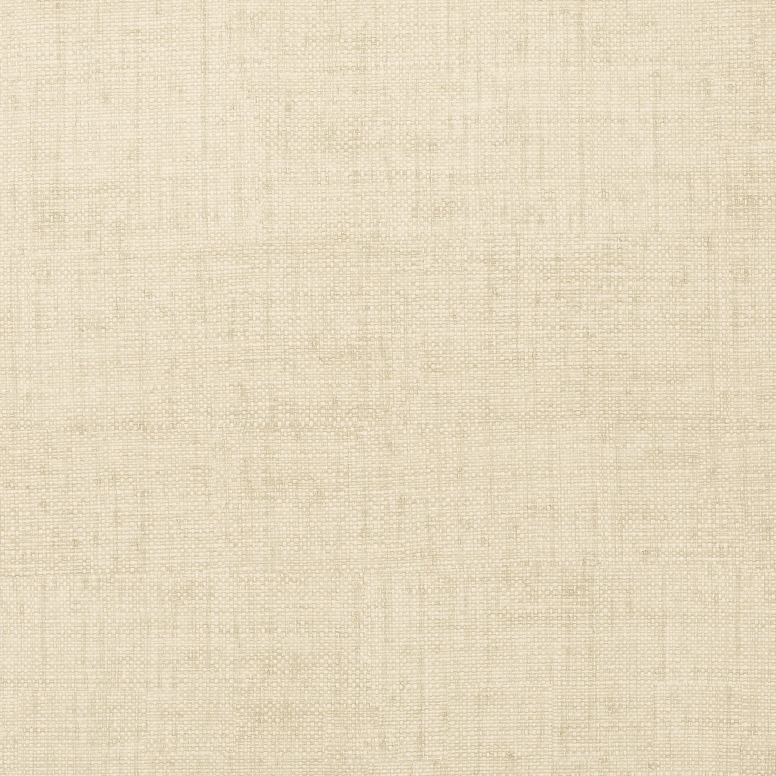 BANKUN RAFFIA - Biscuit T14135