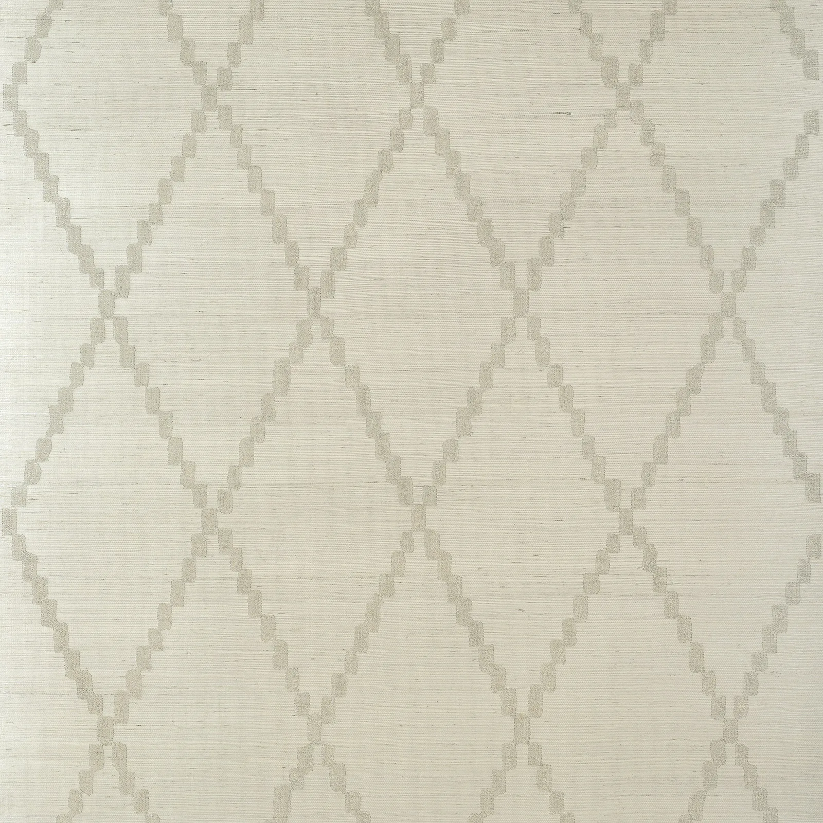 RIBBON SISAL - Beige. Фото 1 из 1