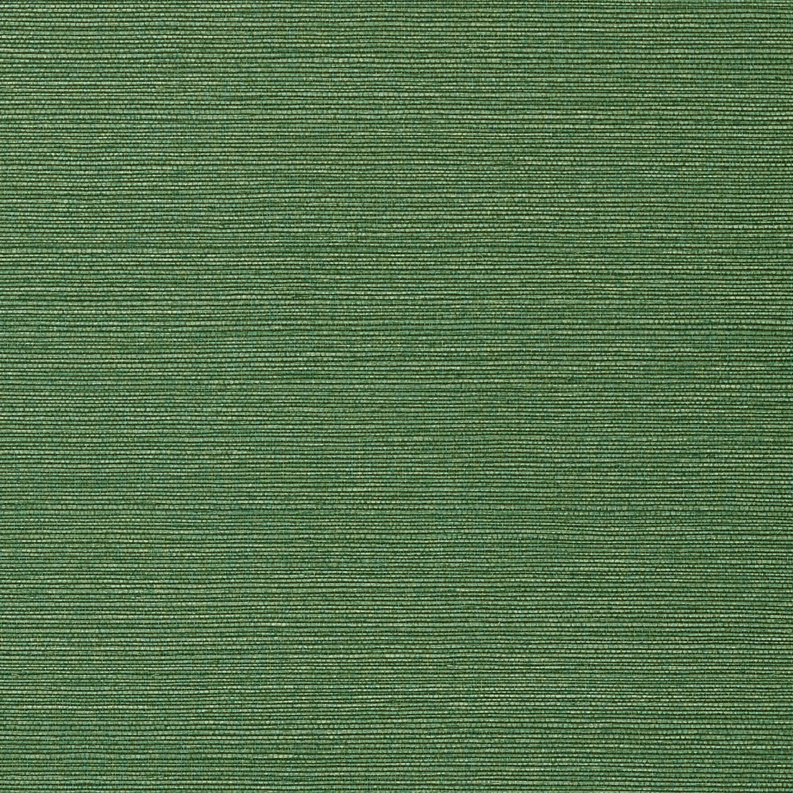 TALUK SISAL - Green T75154
