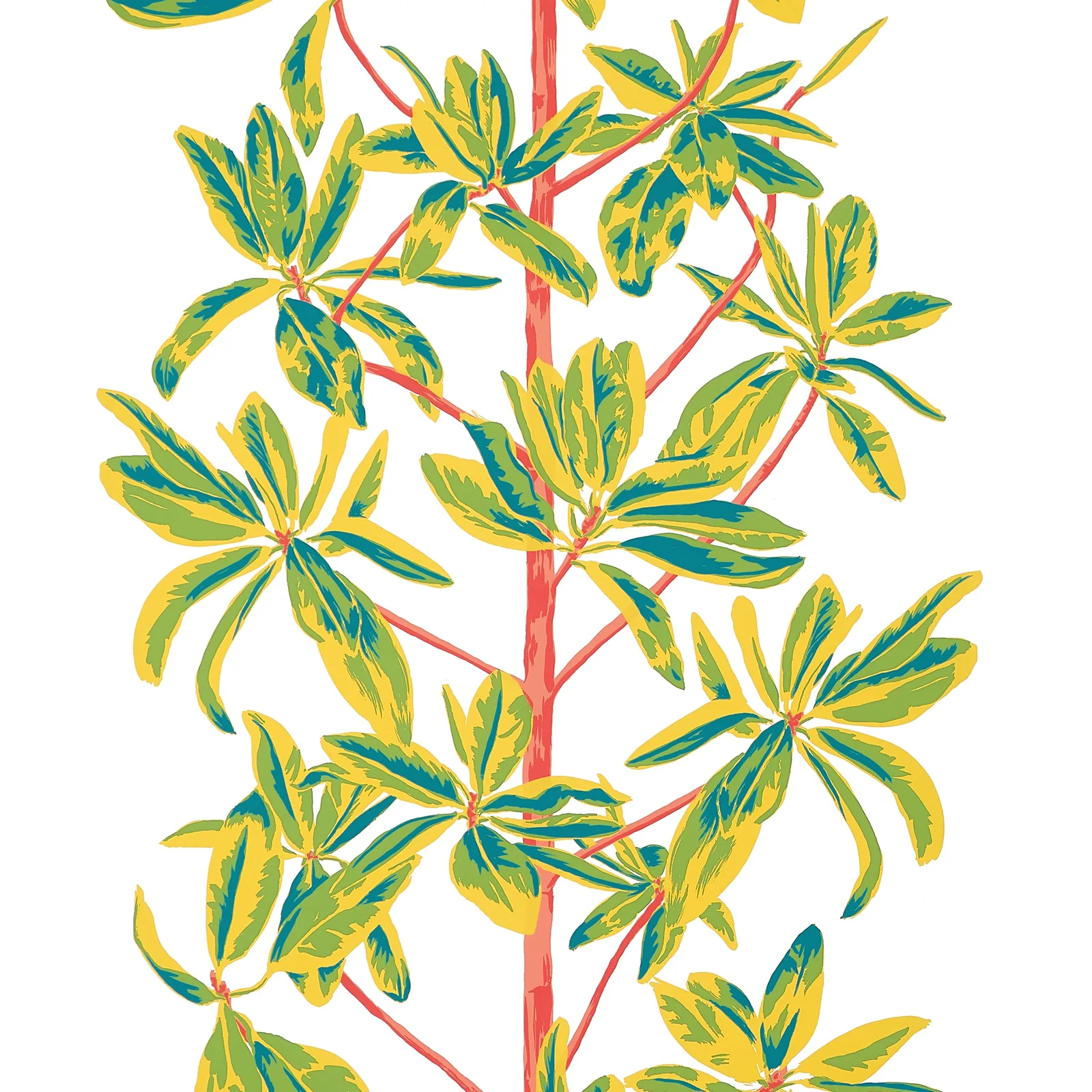 MANGROVE TREE - Coral T45036