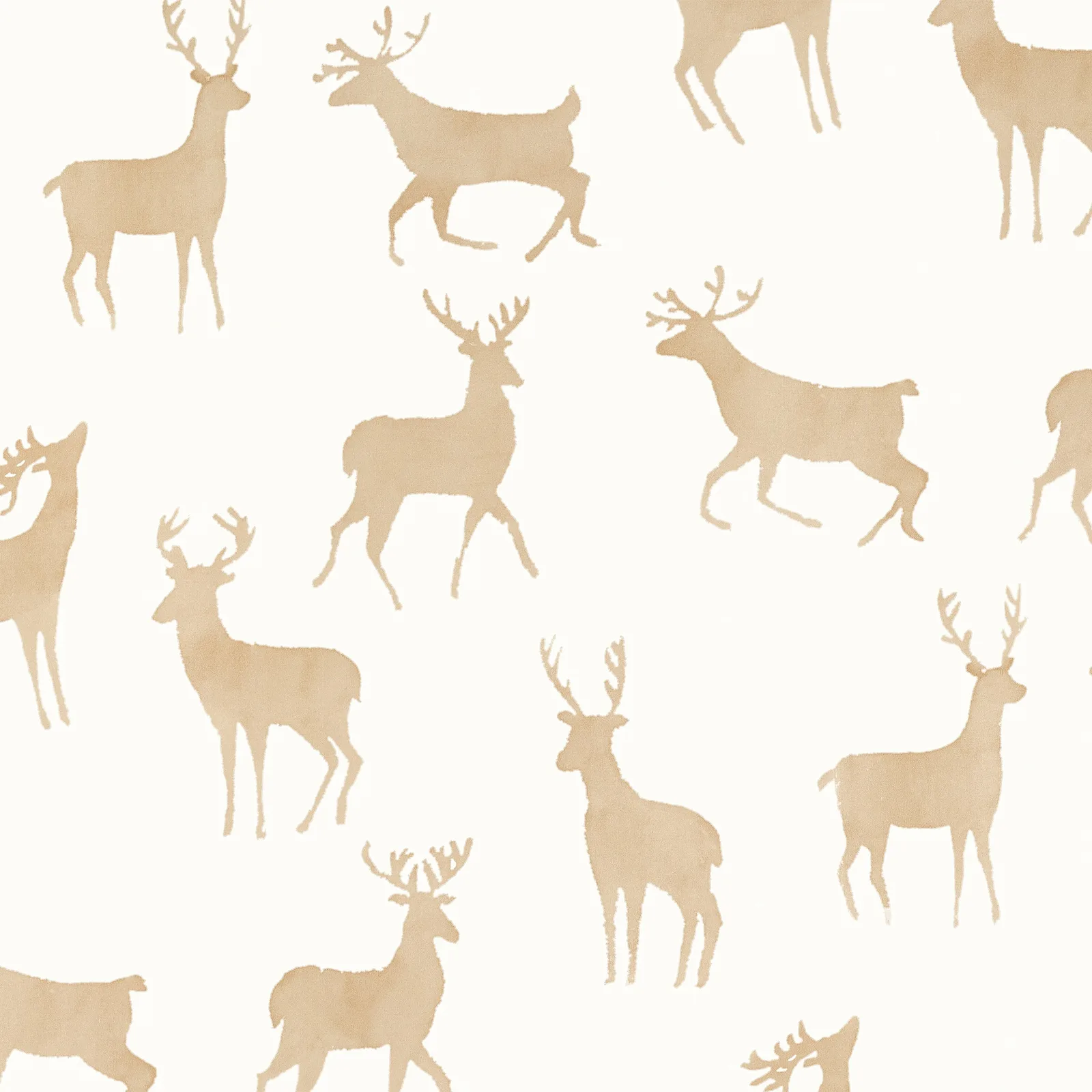 BUCKS - Birch. Фото 1 из 1