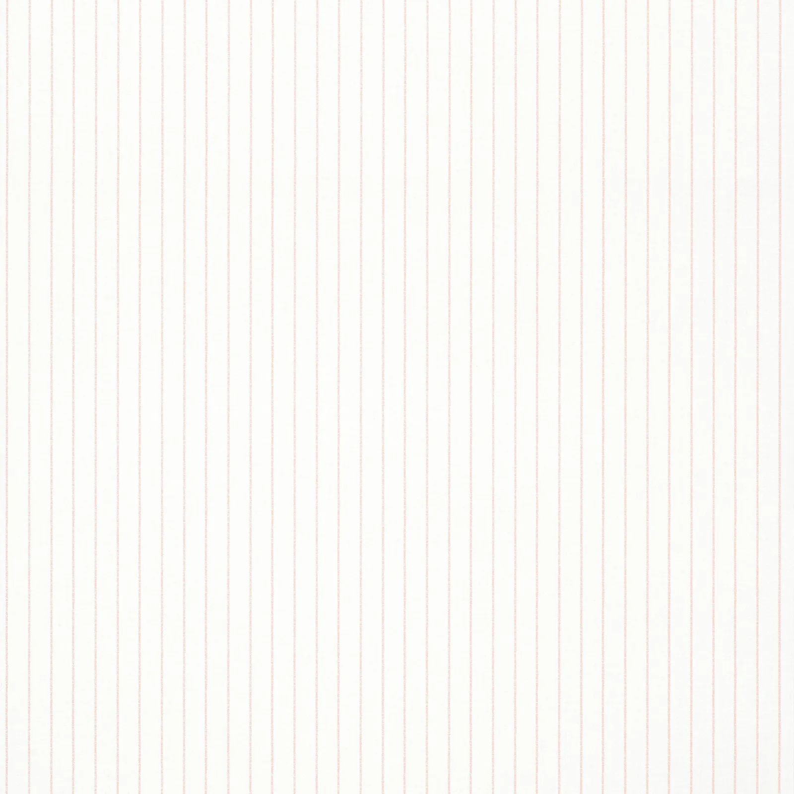 WESLEY STRIPE - Blush. Фото 1 из 1