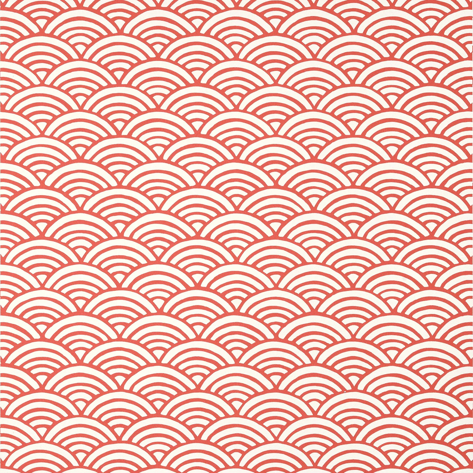 MARIS - Coral. Фото 1 из 1